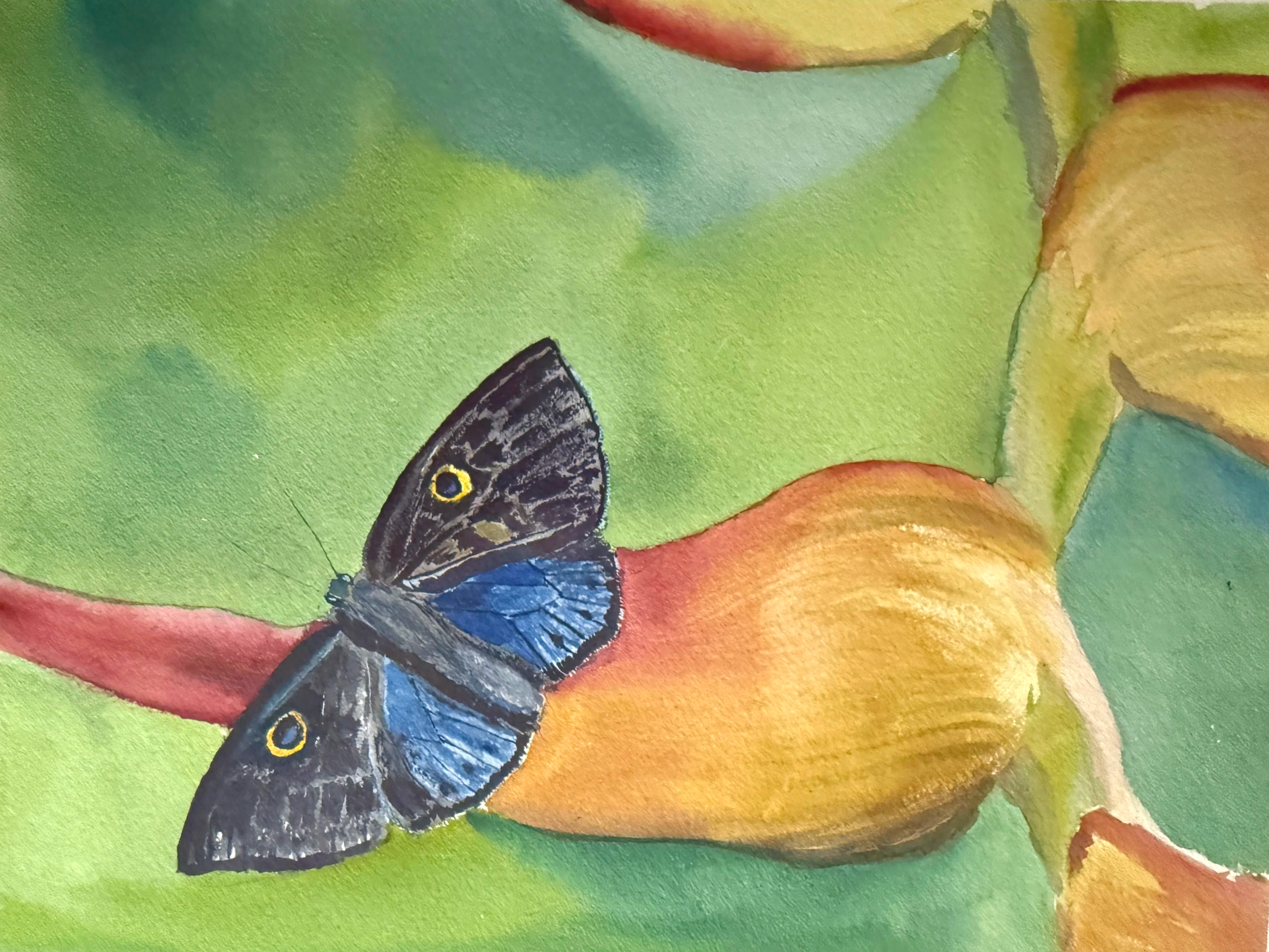 IMG_9708.png