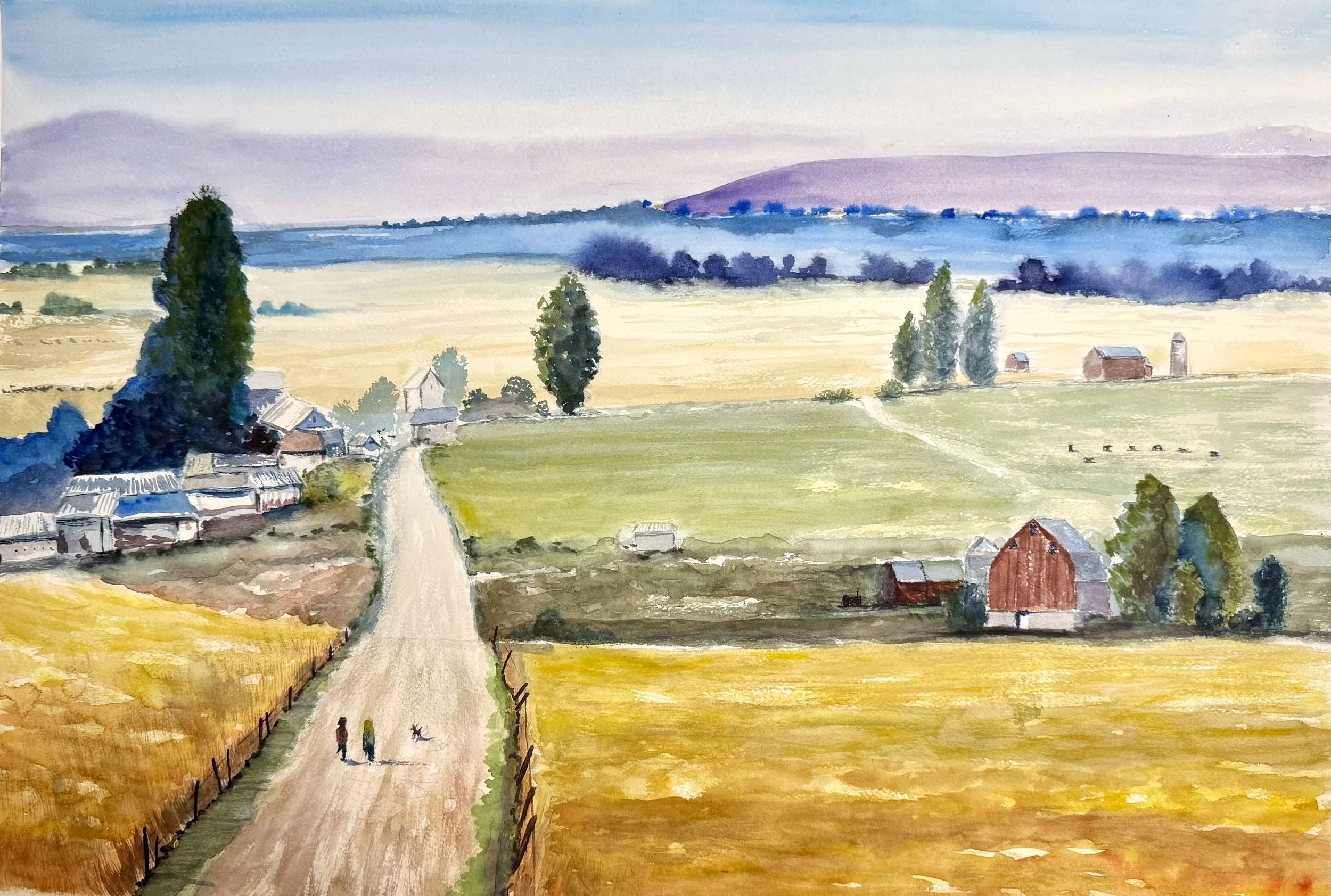 View from the Road