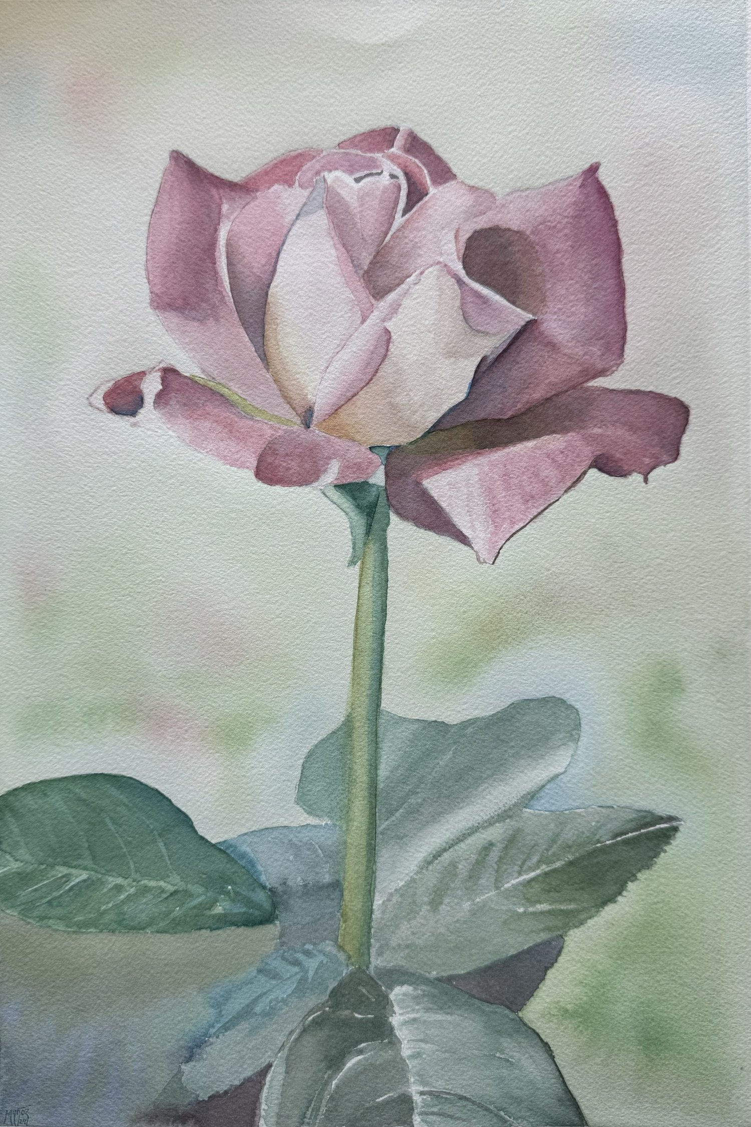 Watercolor painting of a single blush rose with soft green leaves against a light pastel background. The delicate petals are gently shaded, creating a lifelike floral composition.