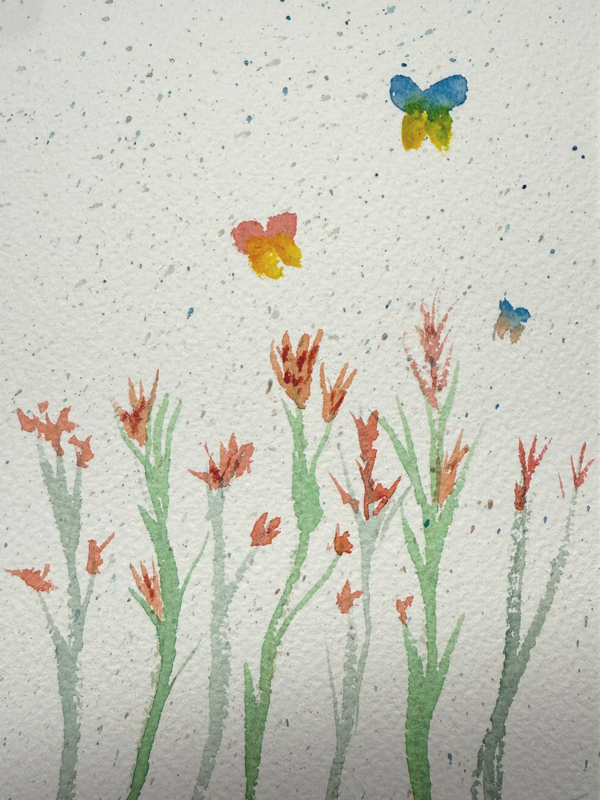 IMG_7943.png