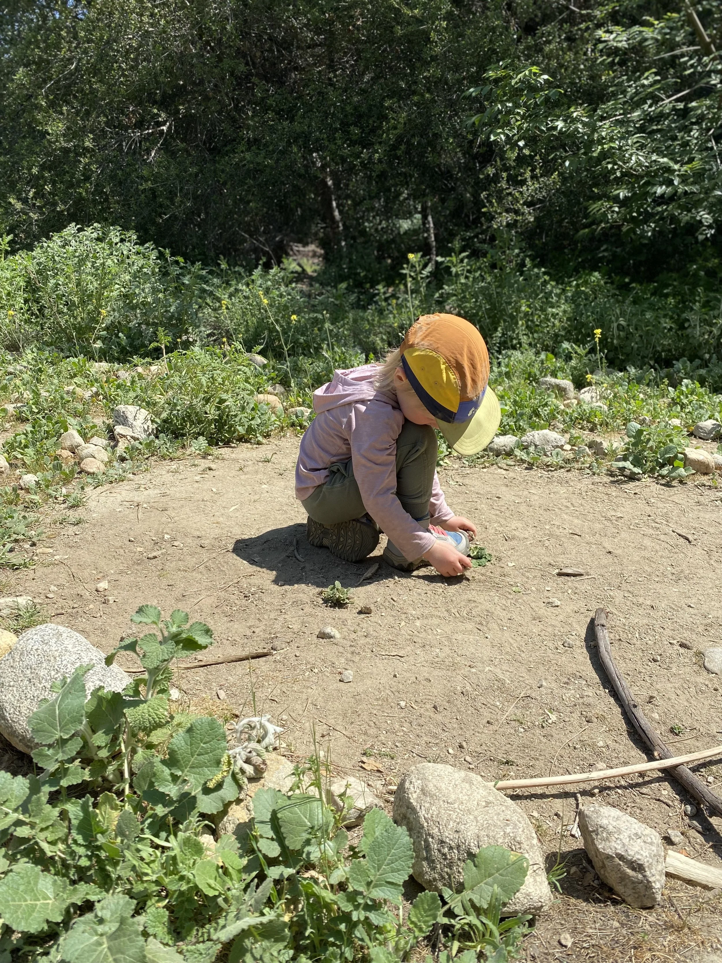 Memorial Day No School