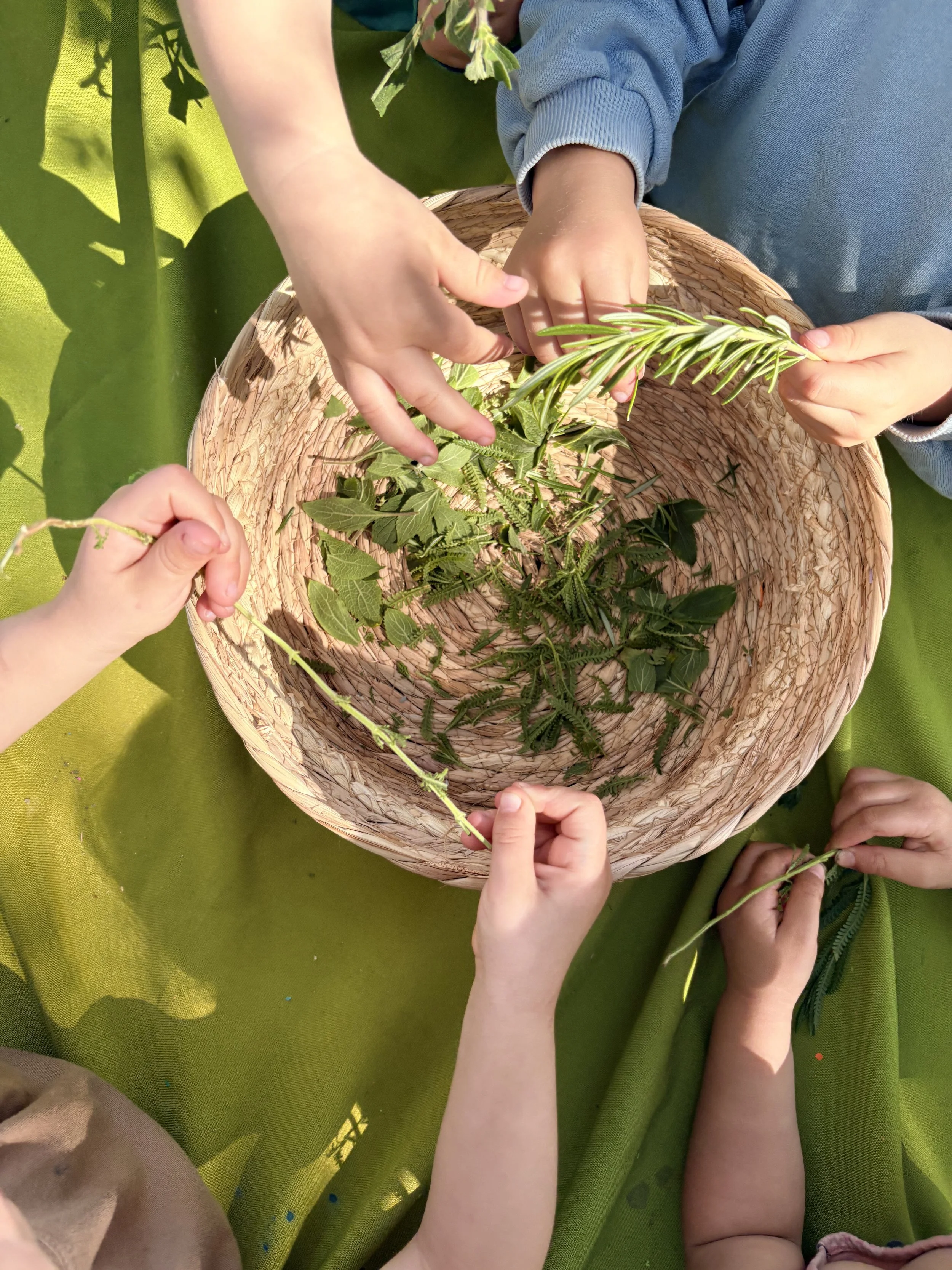 Future Families Tour