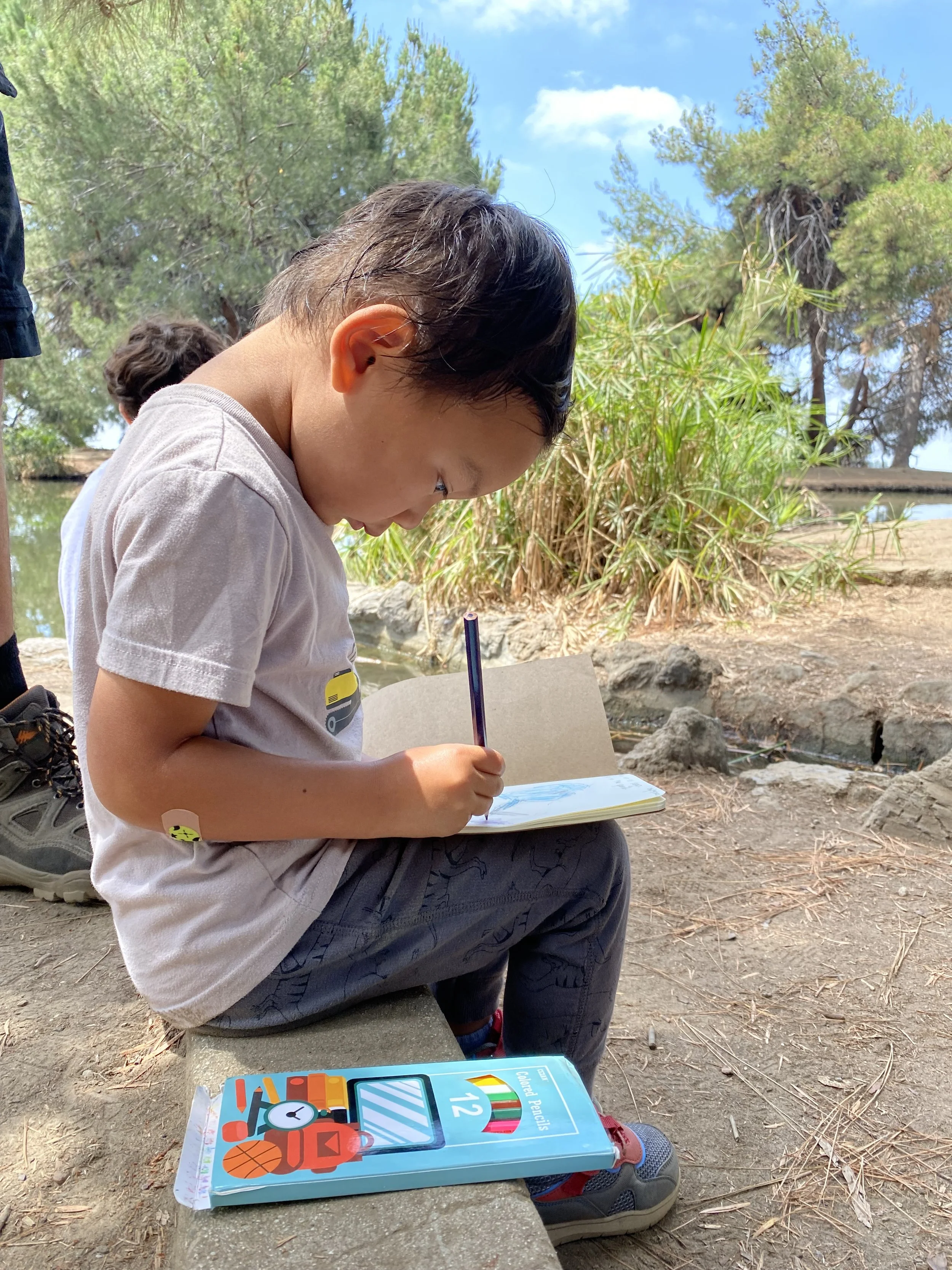 Nature Journaling with Tía Chaus