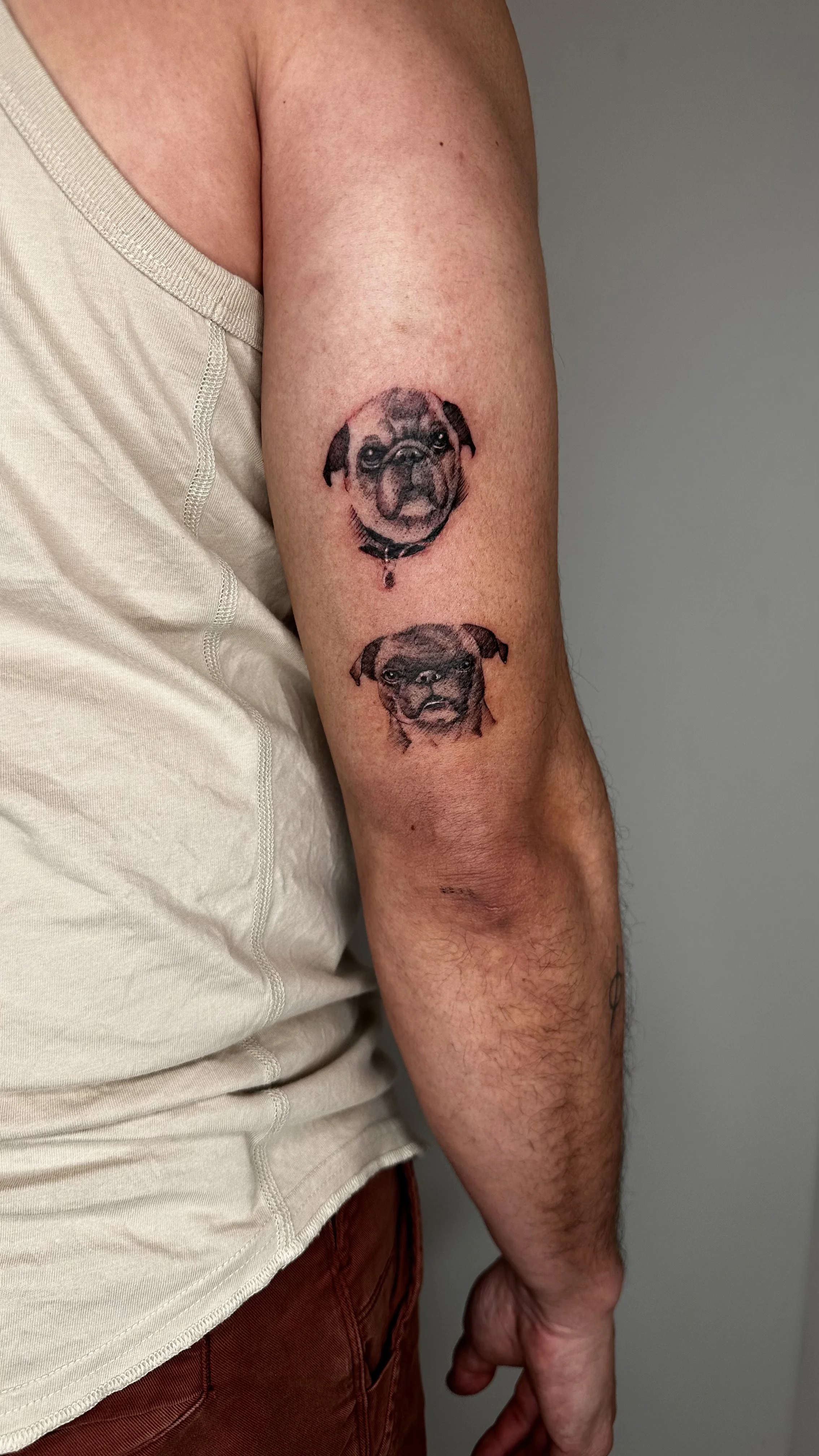 Tattoo of two realistic dog faces on a person's upper arm, one above the other.