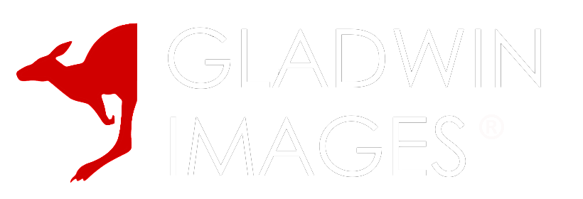 Gladwin Images