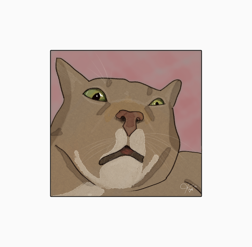 The Pawtistics - 23.png