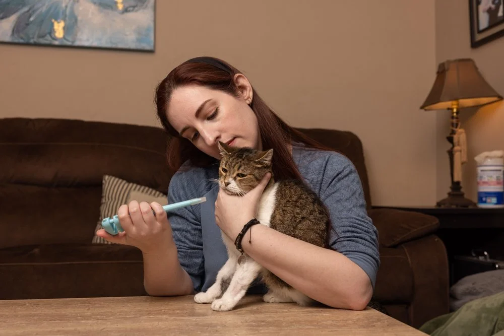 Young woman holding an white and brown tabby cat while preparing to give it a pill medication with a syringe in a cozy living room.