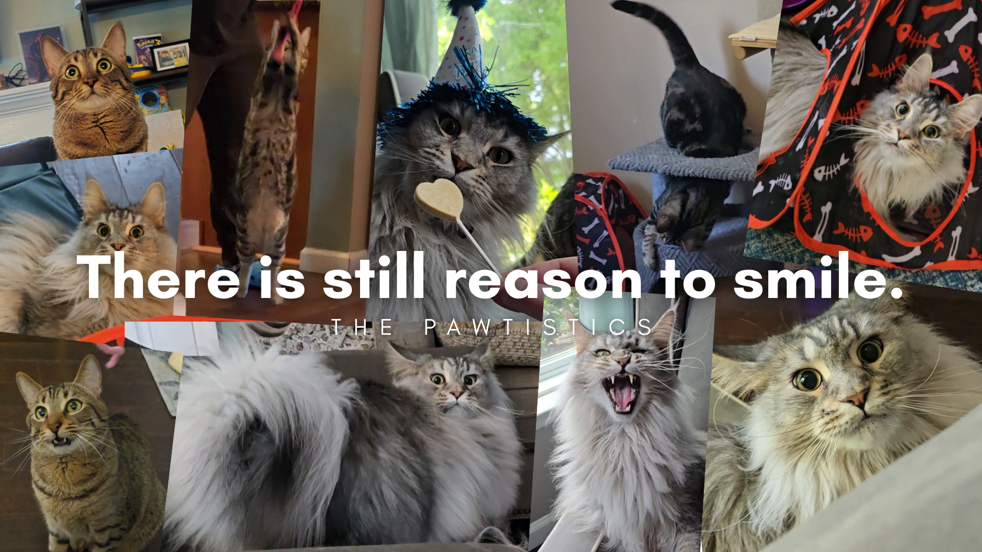 There is still reason to smile..png