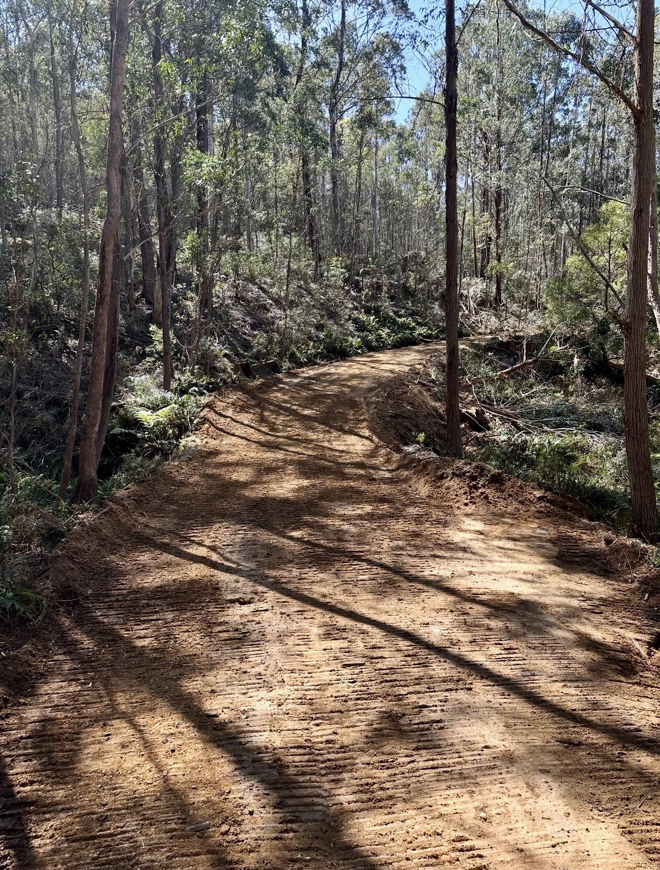 FIRE TRAIL MAINTENANCE 