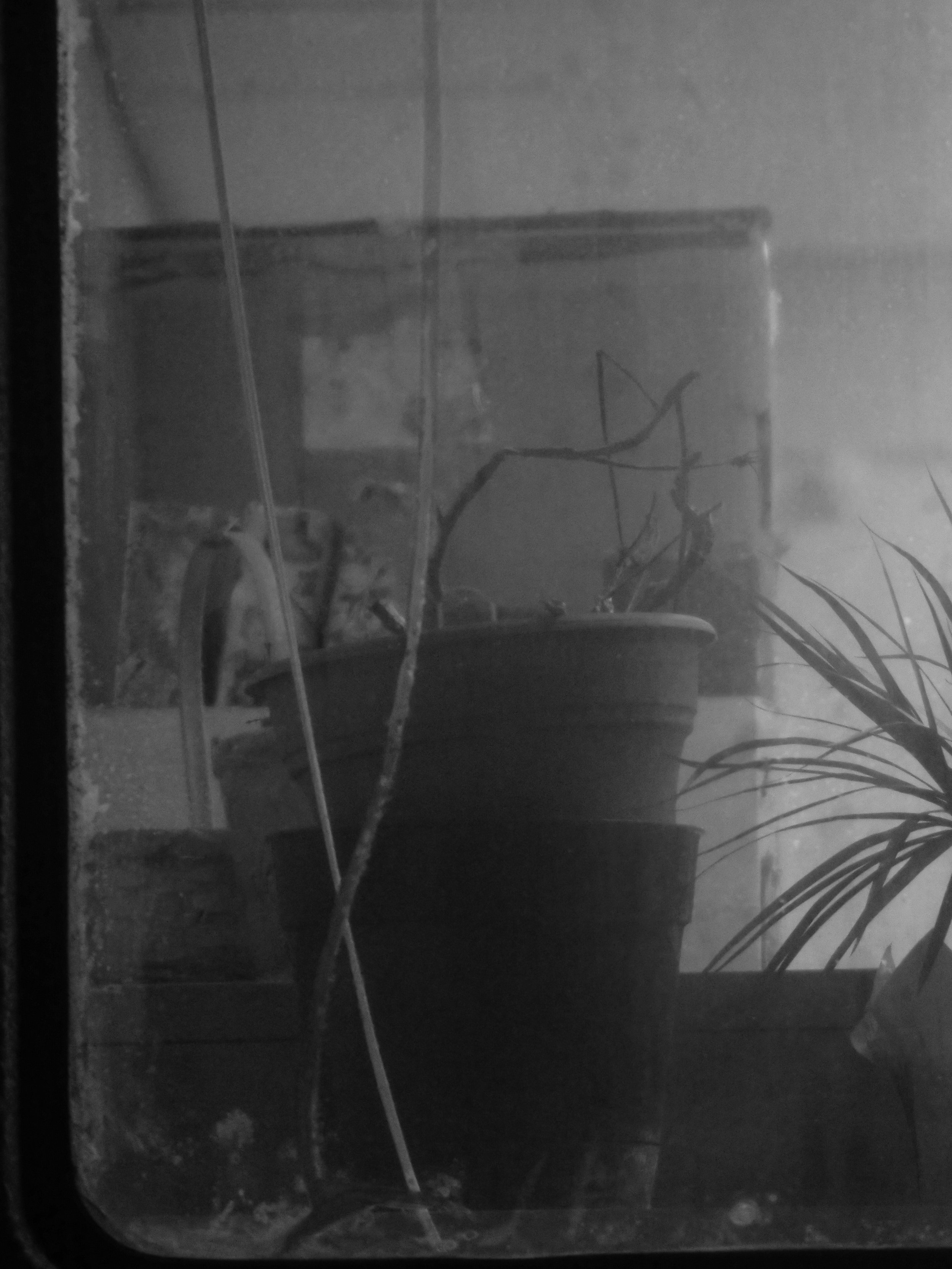 P1066615.jpg