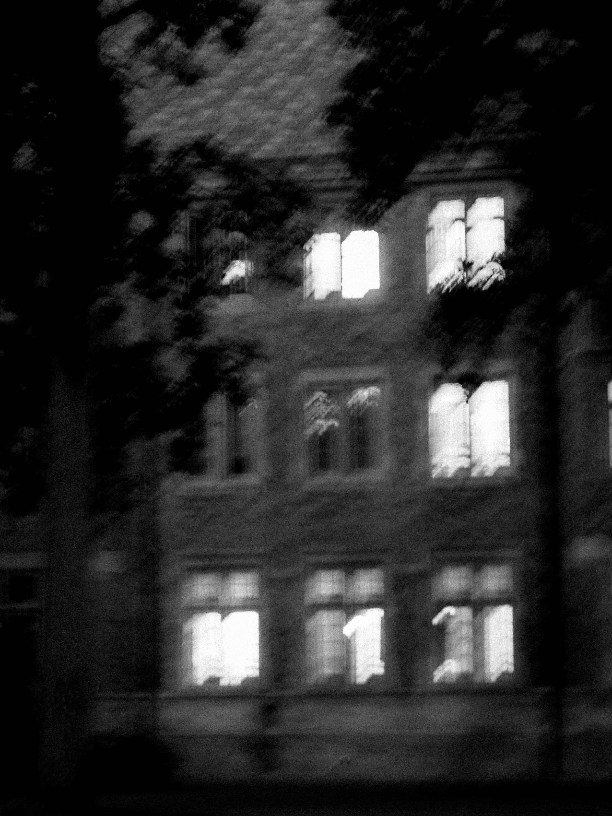 P1155380.jpg