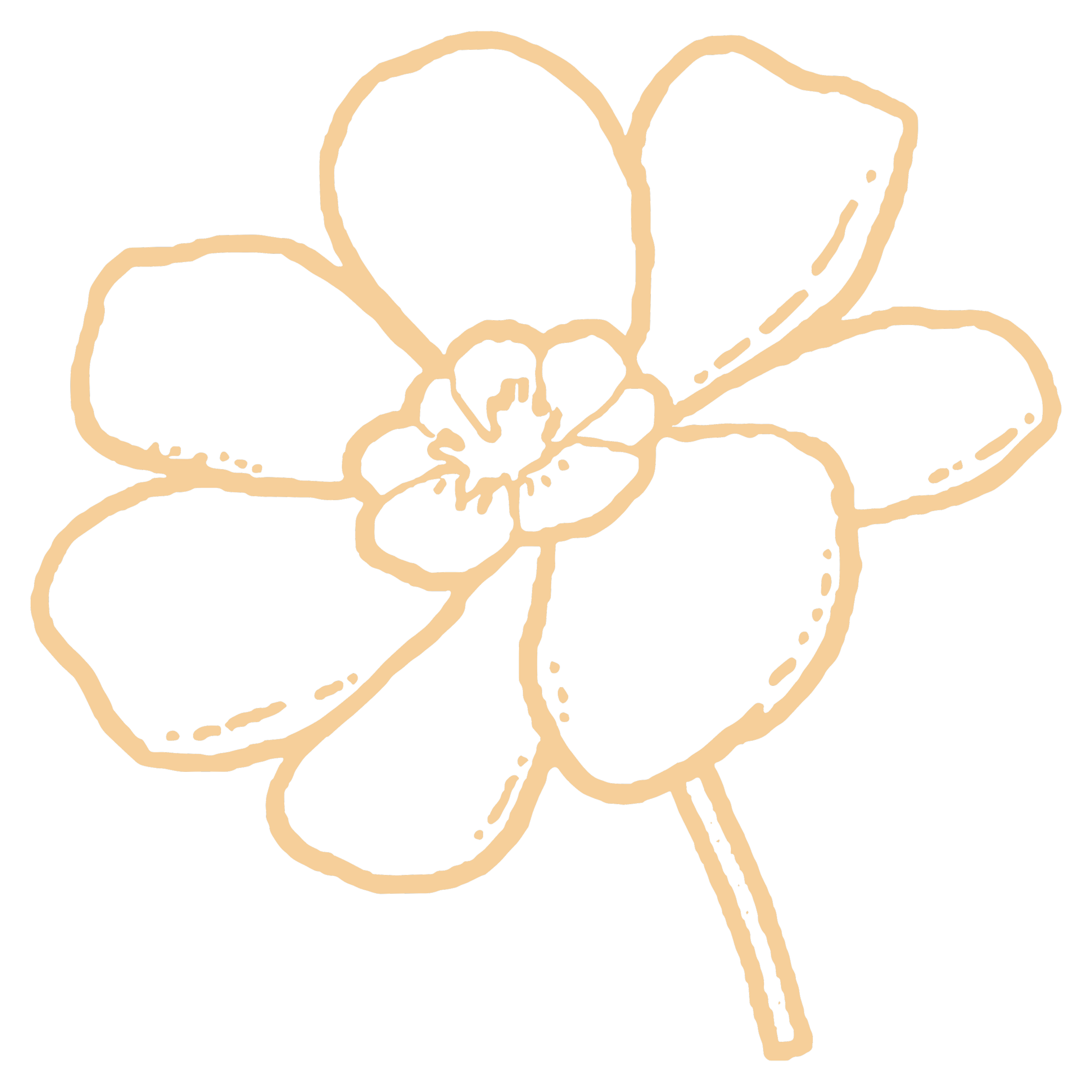 A line drawing of a flower outline against a black background.