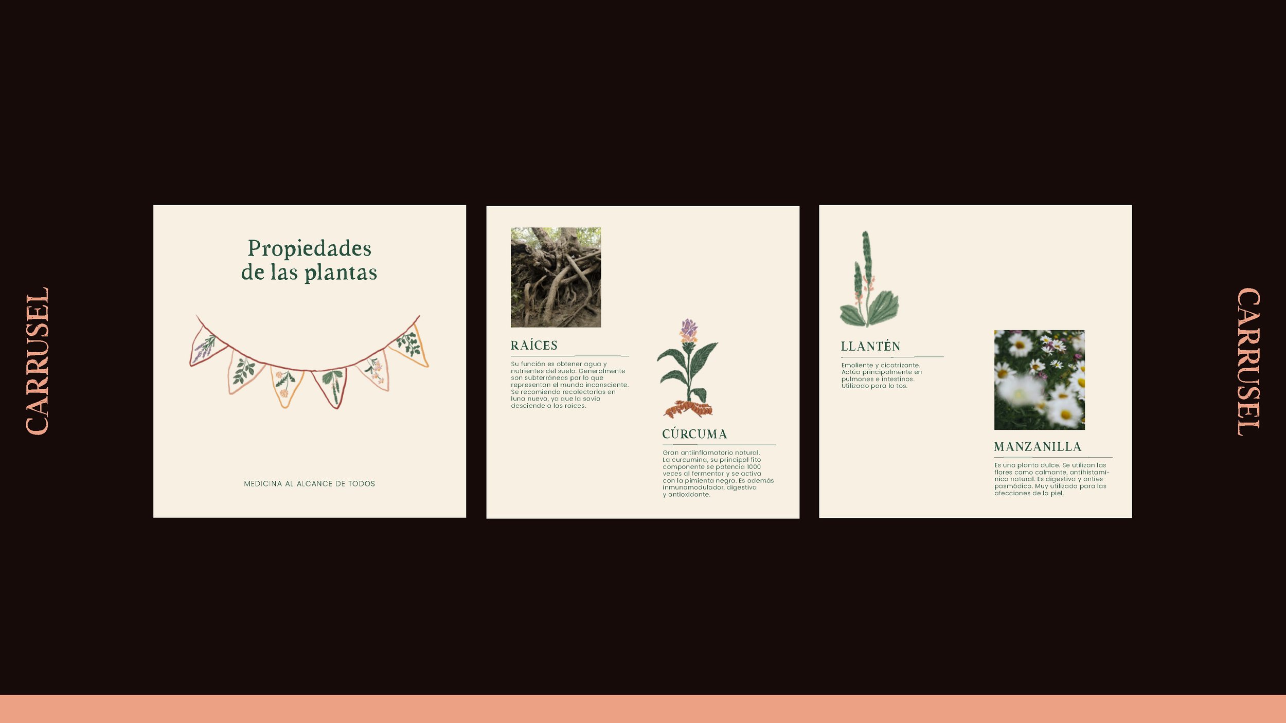 Logos_ Jazmín Zovikián_Page_10.jpg