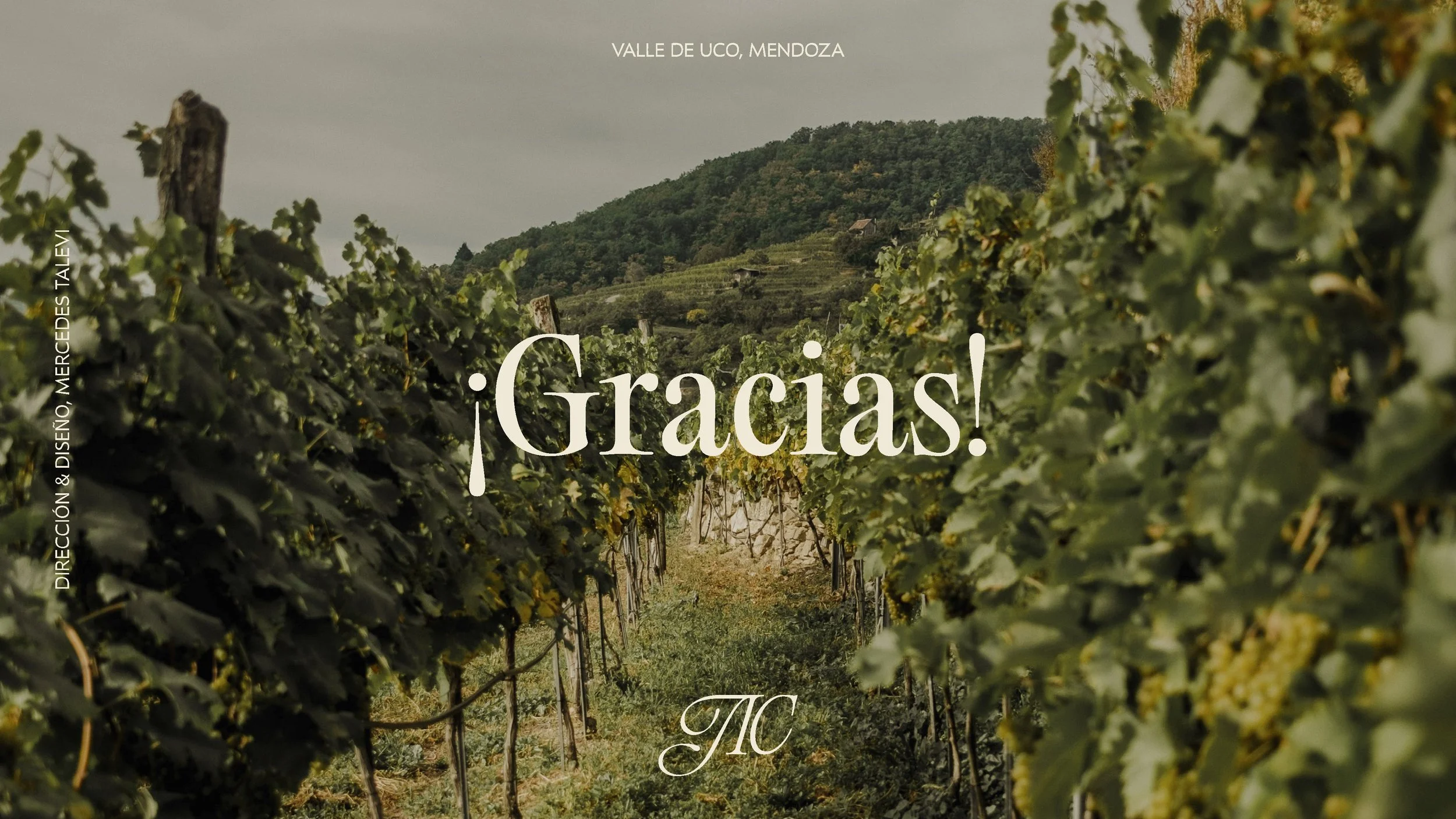 Finca JIC_Manual de Marca 2023_Page_24.jpg