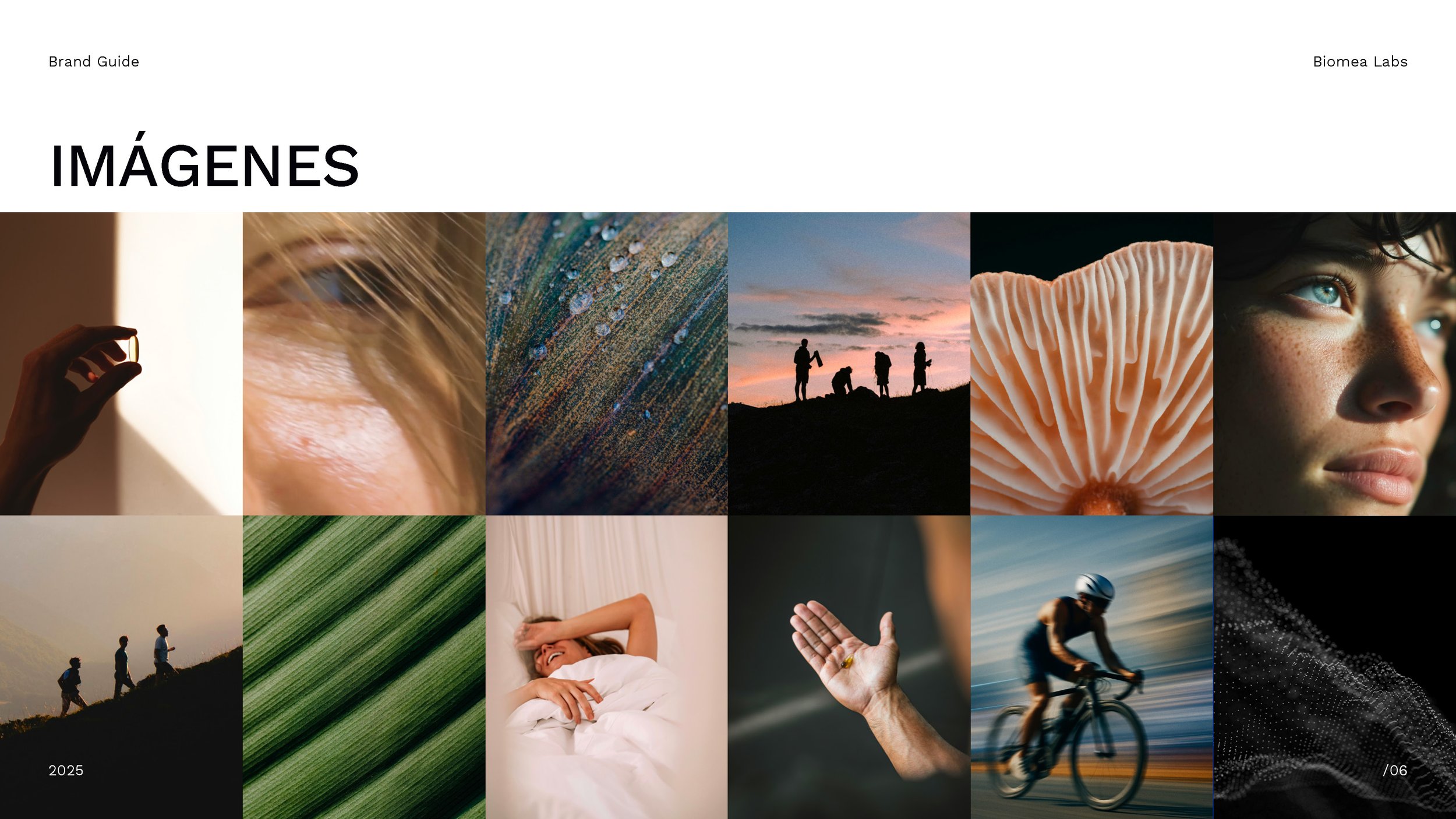 BiomeaLabs_BRANDGUIDE_Page_6.jpg