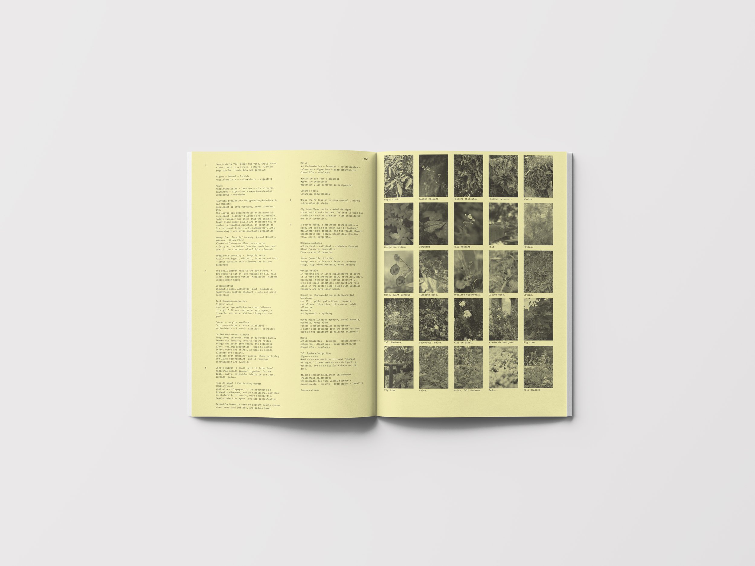 ROBIDA-REVISTA-02B.jpg