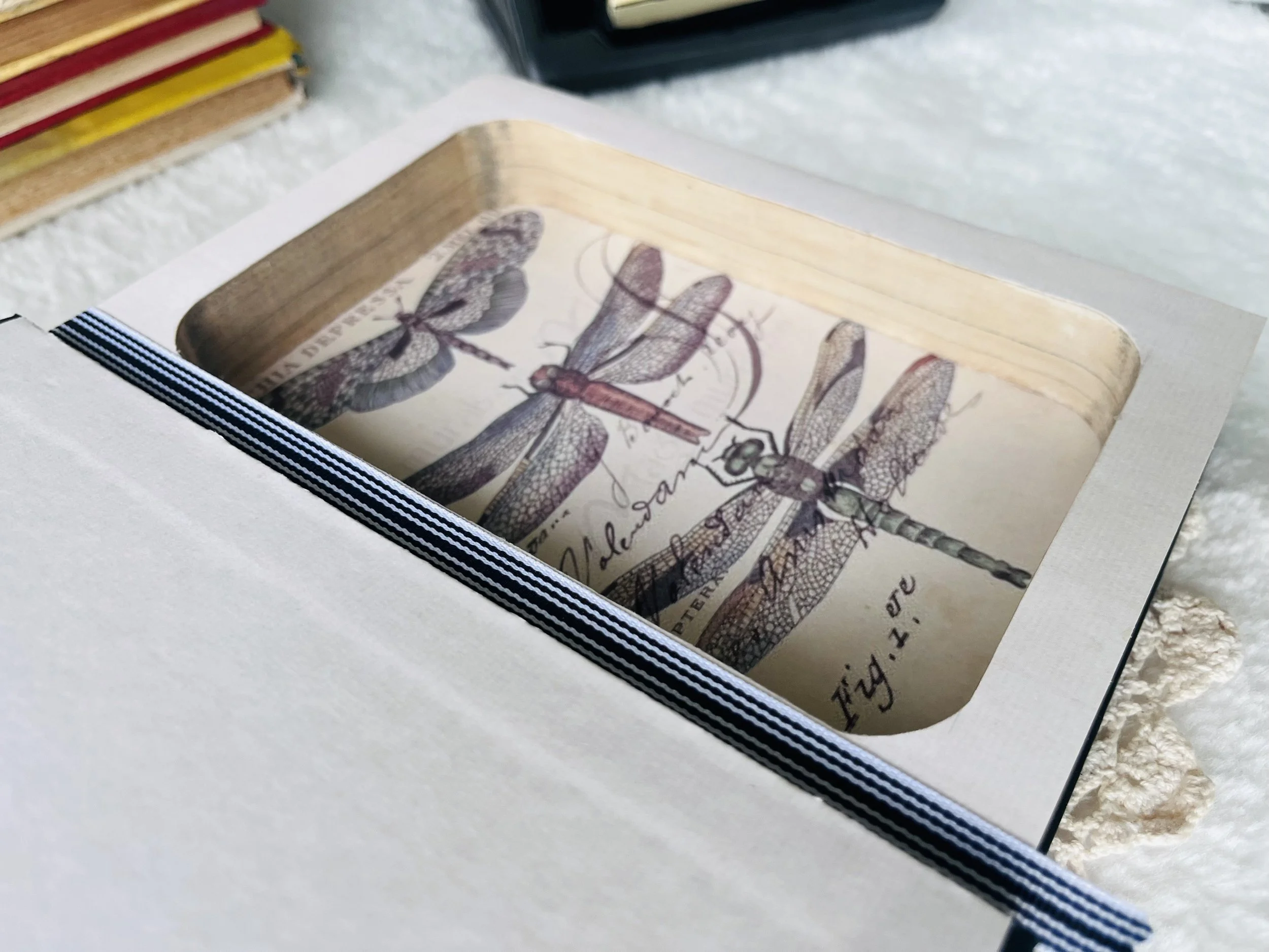 IMG_6806.jpeg