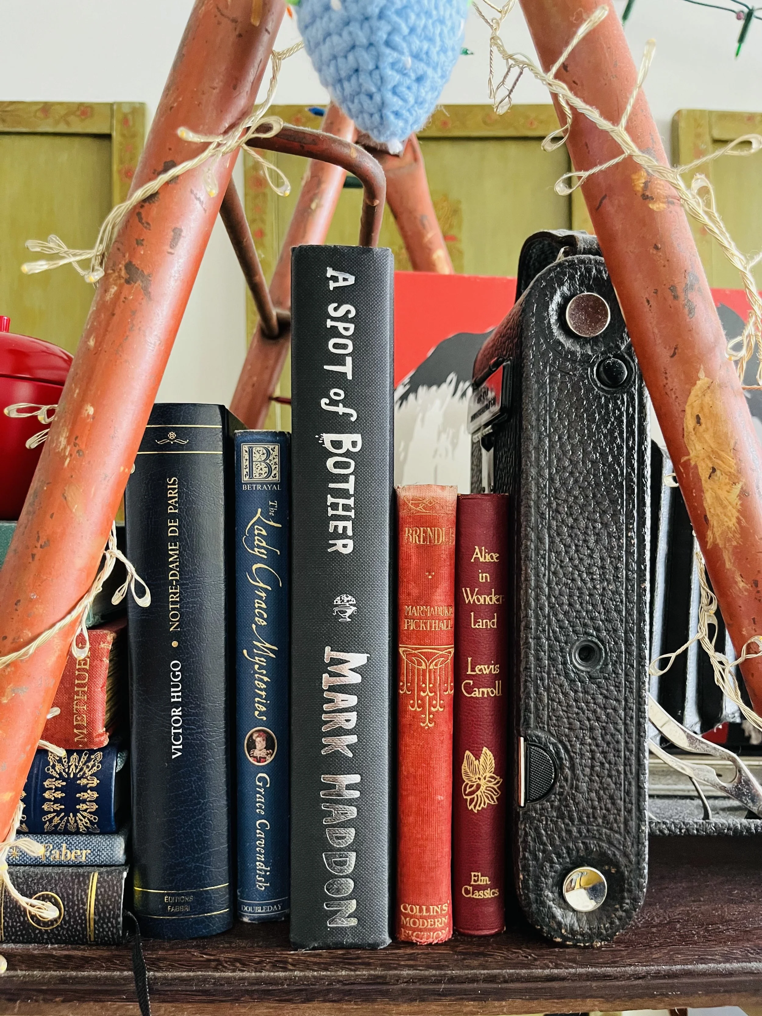 Book Safes: The Best Hiding Spots in Plain Sight