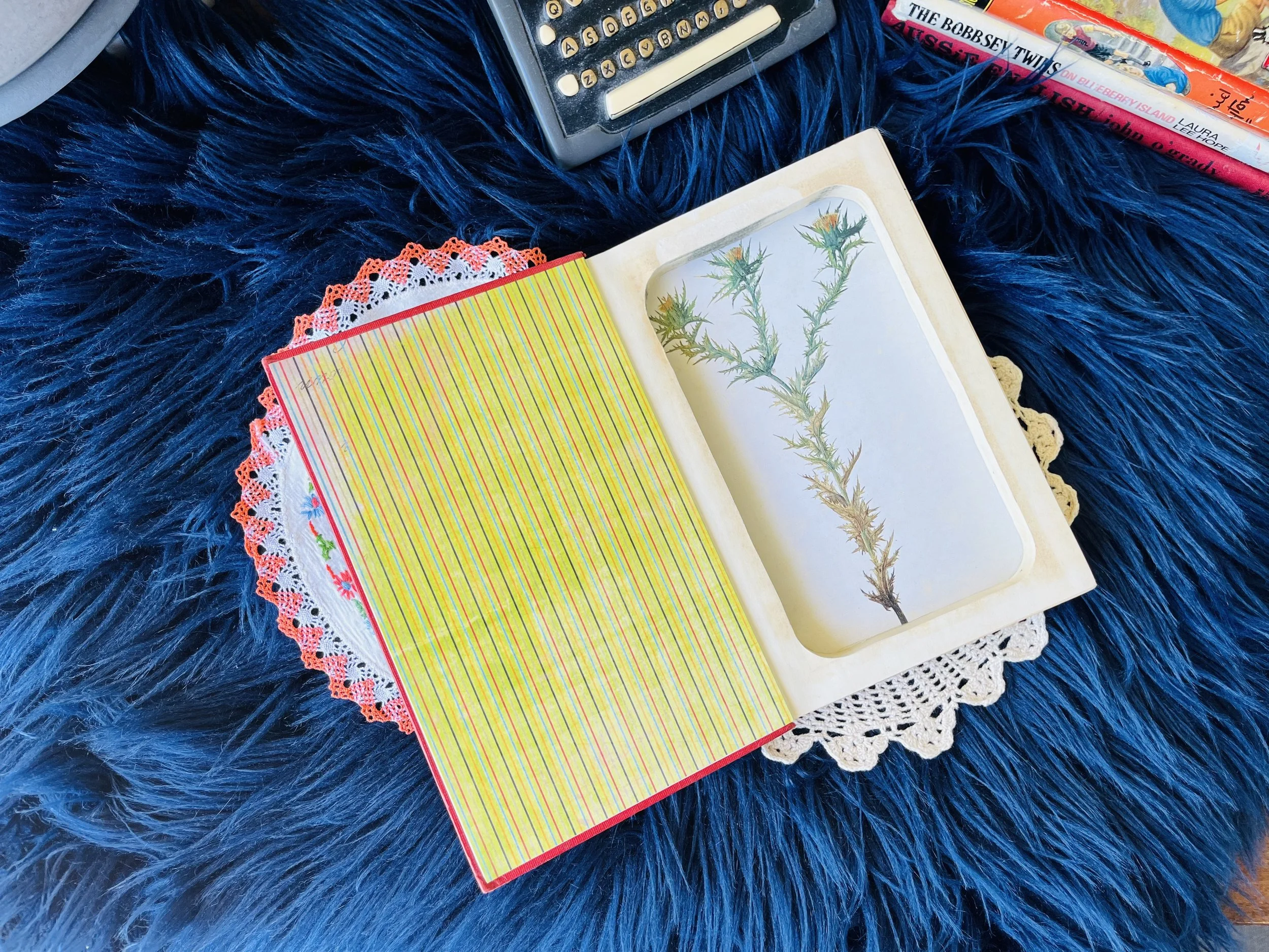 Vintage Books vs Modern Books: Which Makes the Best Book Safe?