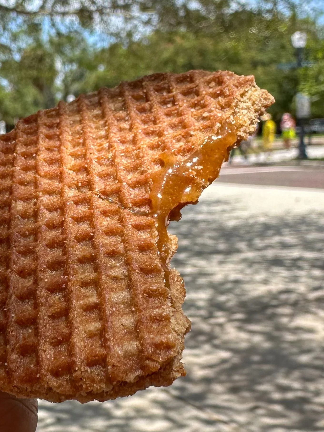 Stroopwafel