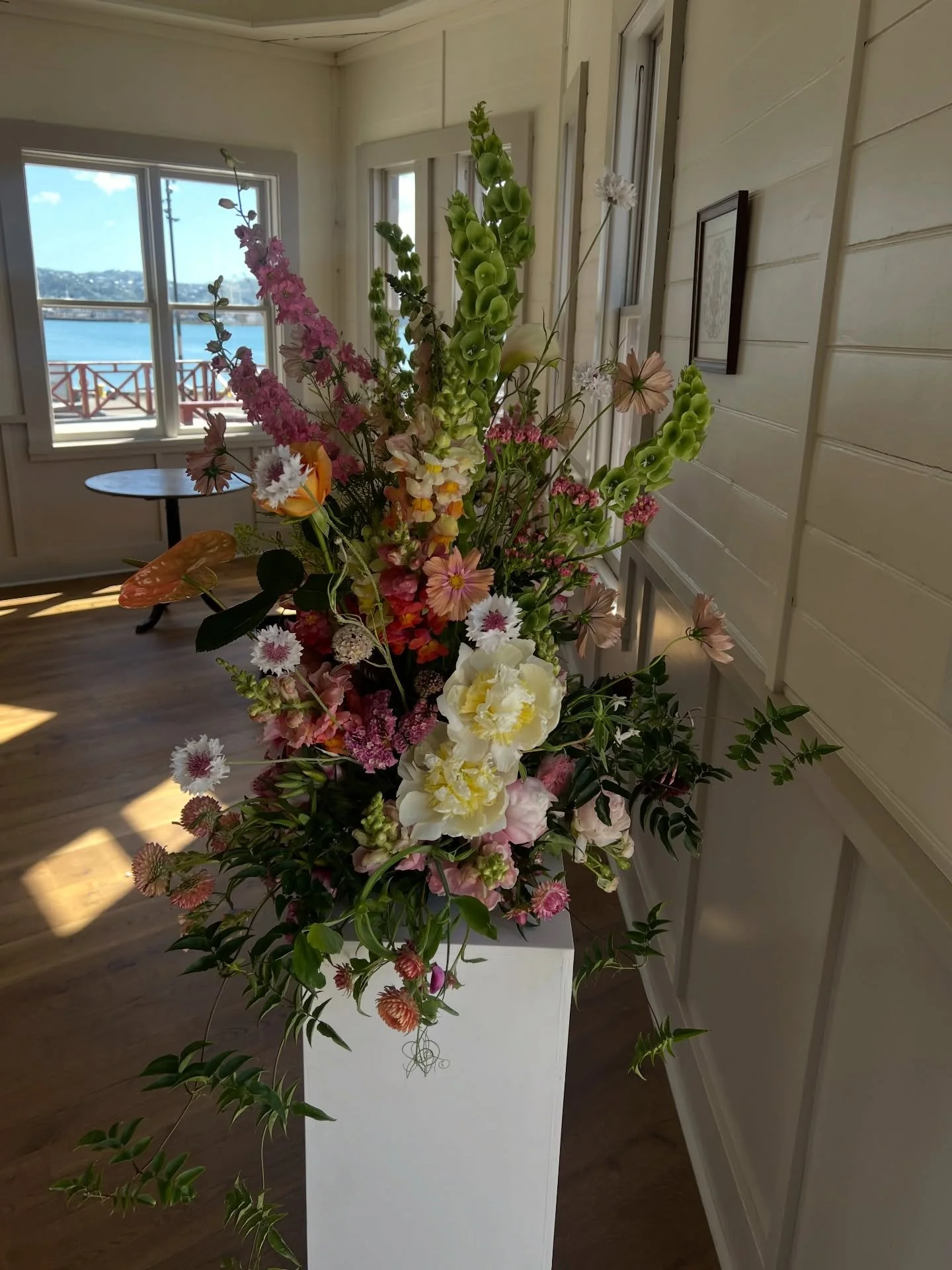 Plinth baddies💚💚💚💚 in all of my fav tones 🫶🏼 What a stunning day at the boat shed/rowing club. Always a pleasure ✨🌞