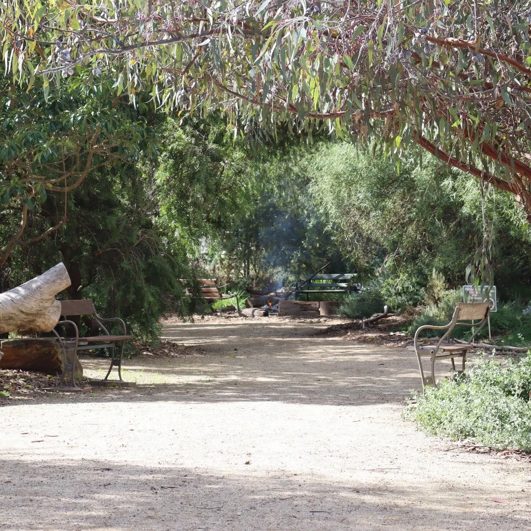 Coming up this Friday 🔊

SOLD OUT!
Our Arts in Nature event is happening this Friday. 
Please note this event has sold out. If you we're able to secure yourself a ticket, we look forward to seeing you at ErinEarth to celebrate International Women's 