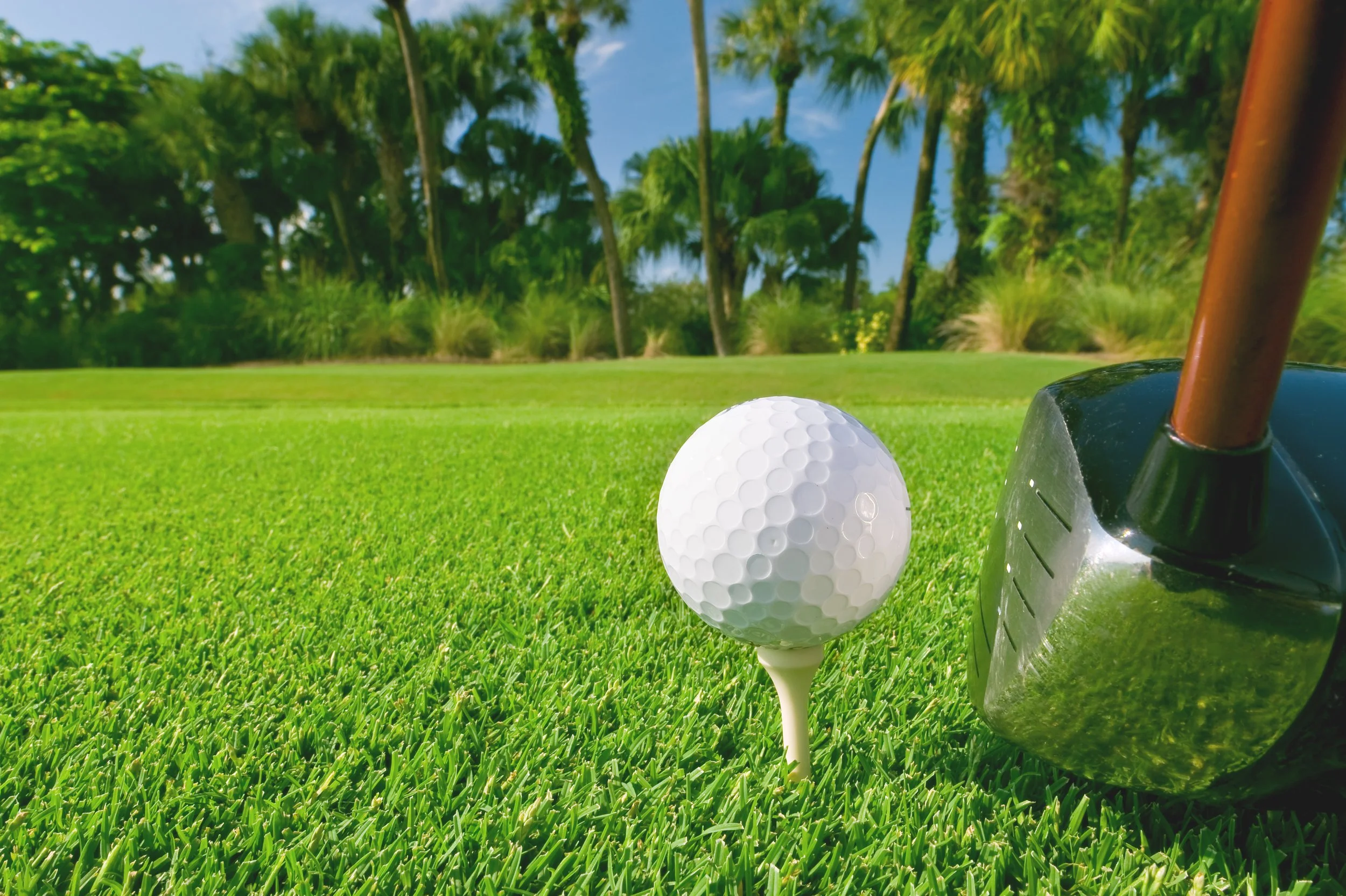 A Legacy of Links: Exploring the Rich History of the Citrus Golf Trail