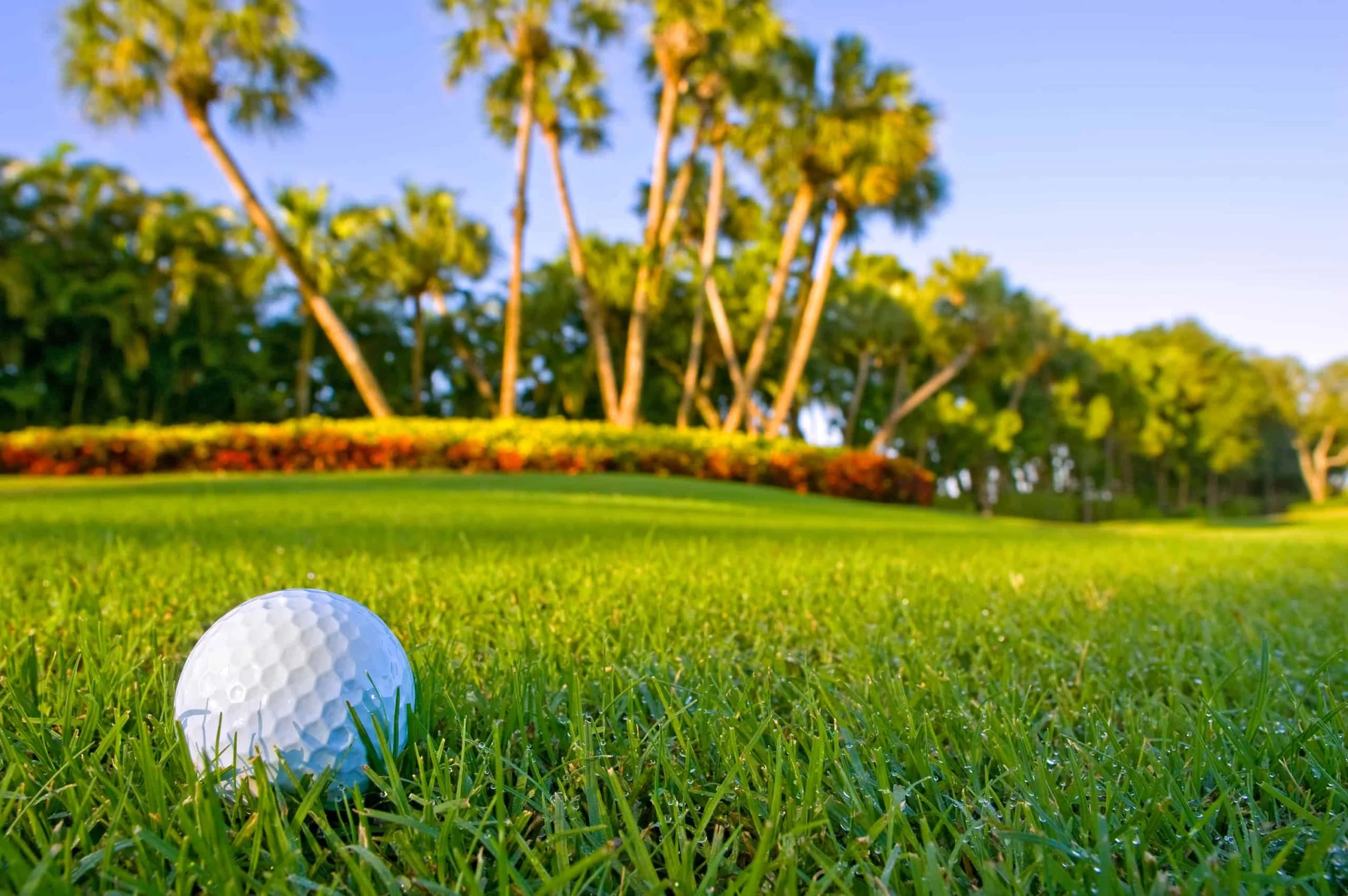 Teeing Up Value: Why the Citrus Golf Trail Reigns as America’s Premier Value Golf Destination