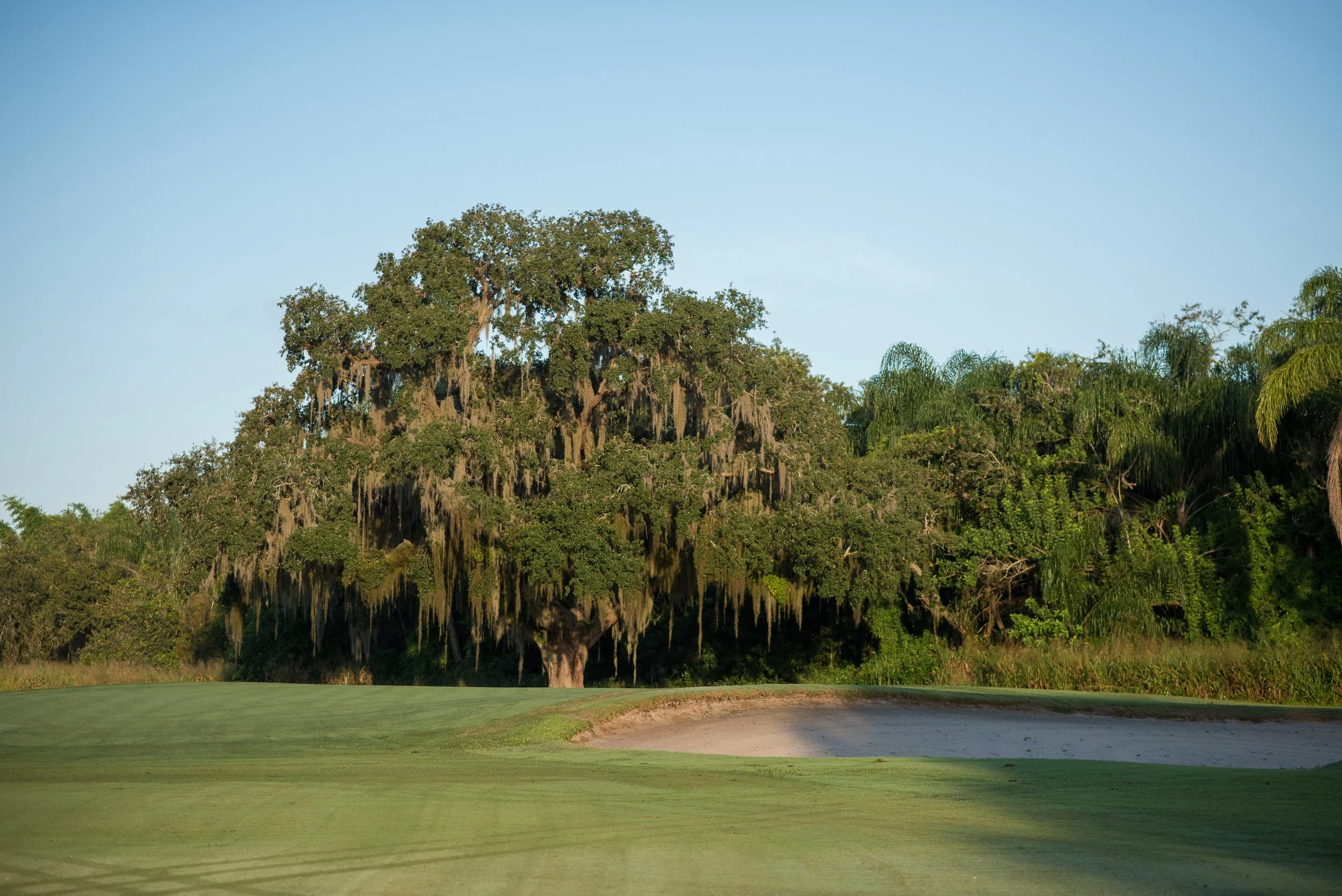 Play Like the Legends — The Historic Legacy of Pinecrest Golf Club