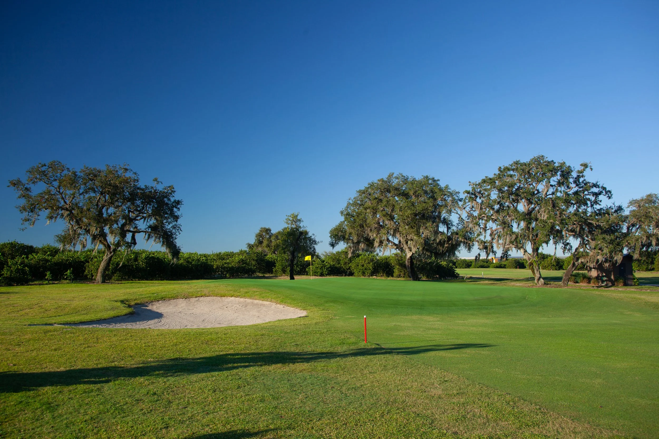 Practice Like a Pro — Elevate Your Game at Pinecrest Golf Club