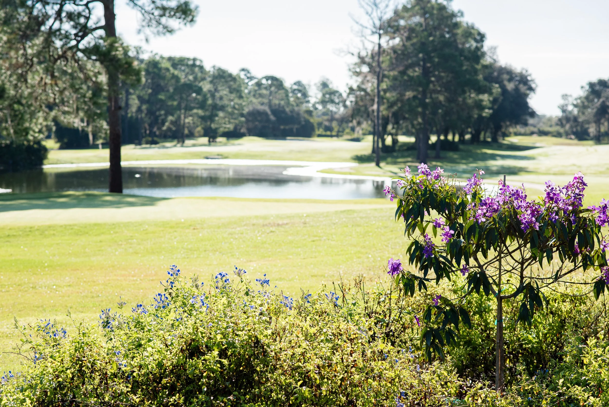 Highlands Ridge: Championship Golf in the Heart of the Citrus Golf Trail