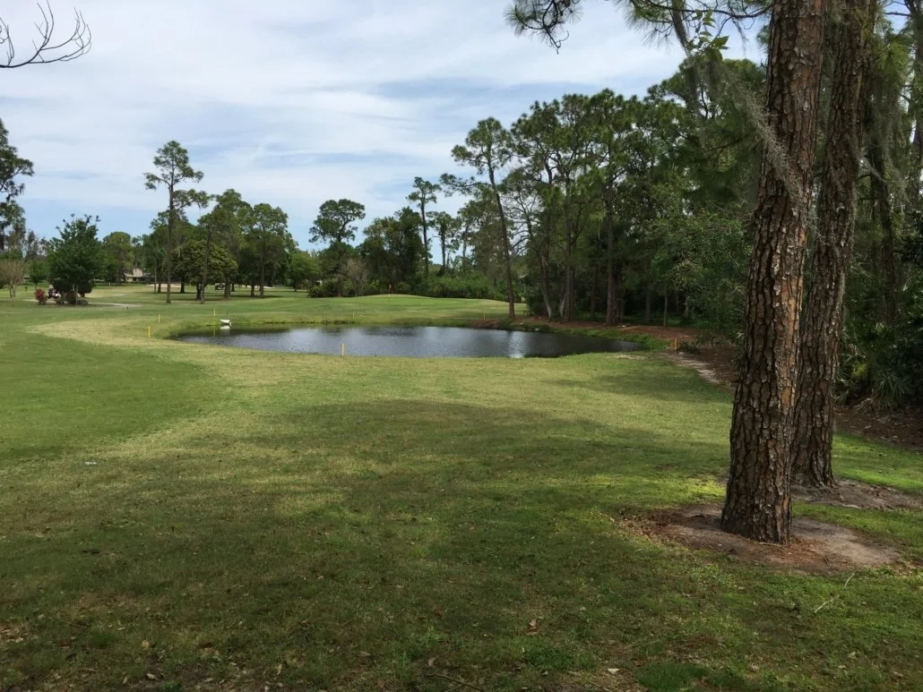 A Hidden Gem with Deep Roots: Golf Hammock Country Club