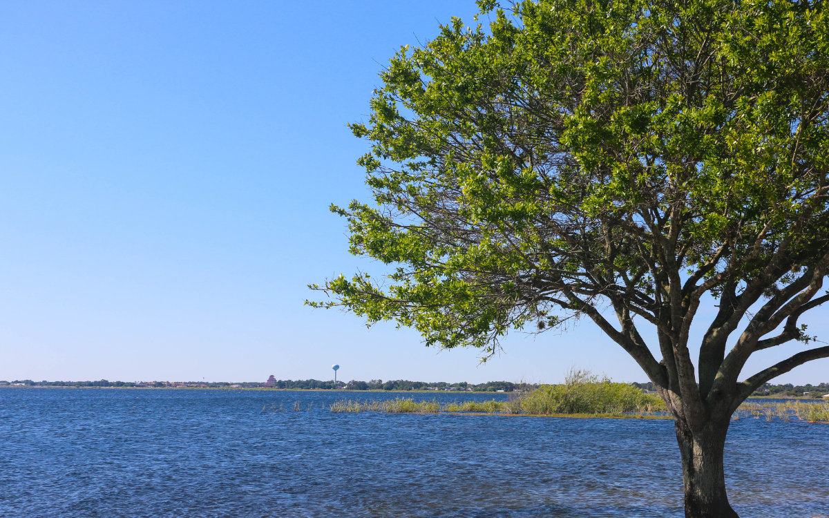 Beyond the Fairways: Things to Do in Sebring After Your Round