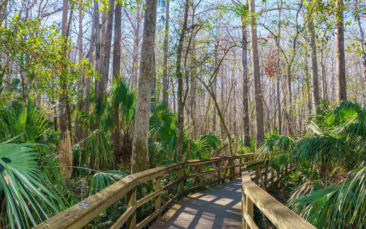 Beyond the Fairways: 5 Off-Course Experiences You’ll Love in Sebring