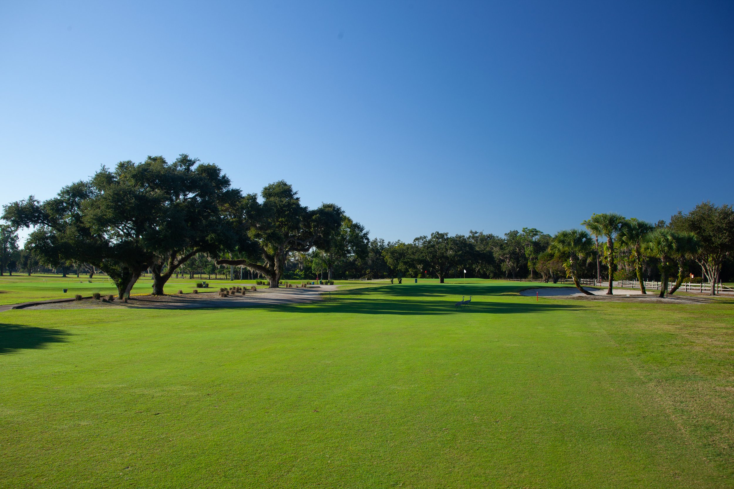 Pinecrest-Golf-Club-59-of-67.jpg