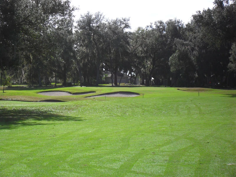A golf course with a green fairway, sand traps, and a backdrop of trees.
