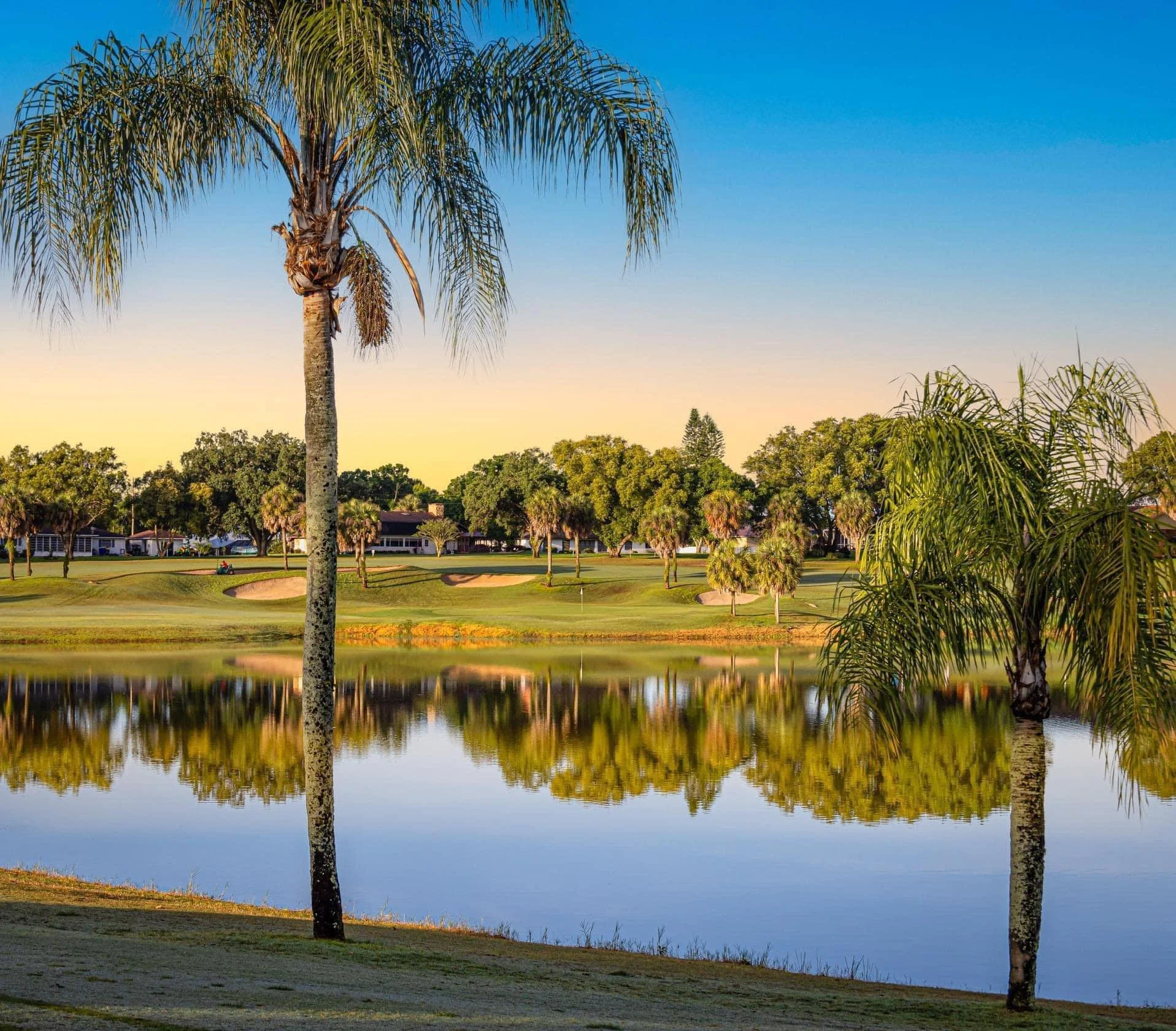A scenic view of a golf course with palm trees reflecting on a pond, houses, and a clear blue sky at sunrise or sunset.