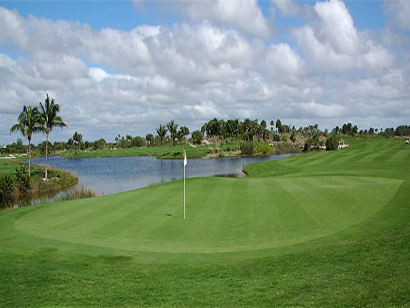 A golf course green with a flagstick, a water hazard, and palm trees under a partly cloudy sky.