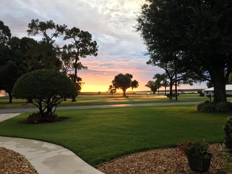 Sunset over a landscaped yard with trimmed shrubs, lush green grass, and large trees, with a road and open field in the background.