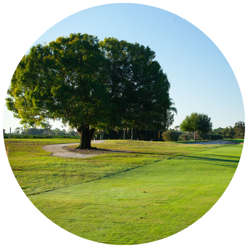 RSVP 1 — Citrus Golf Trail