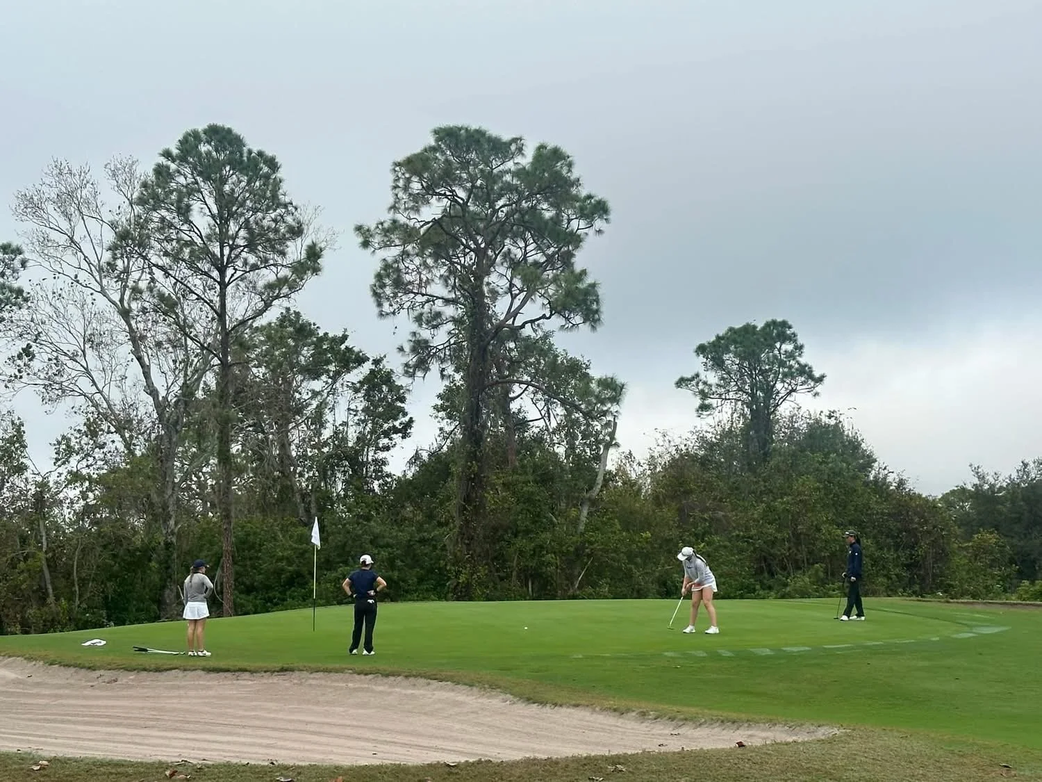 Group of four people playing golf on a course near the sand trap, with tall trees and cloudy sky in the background.