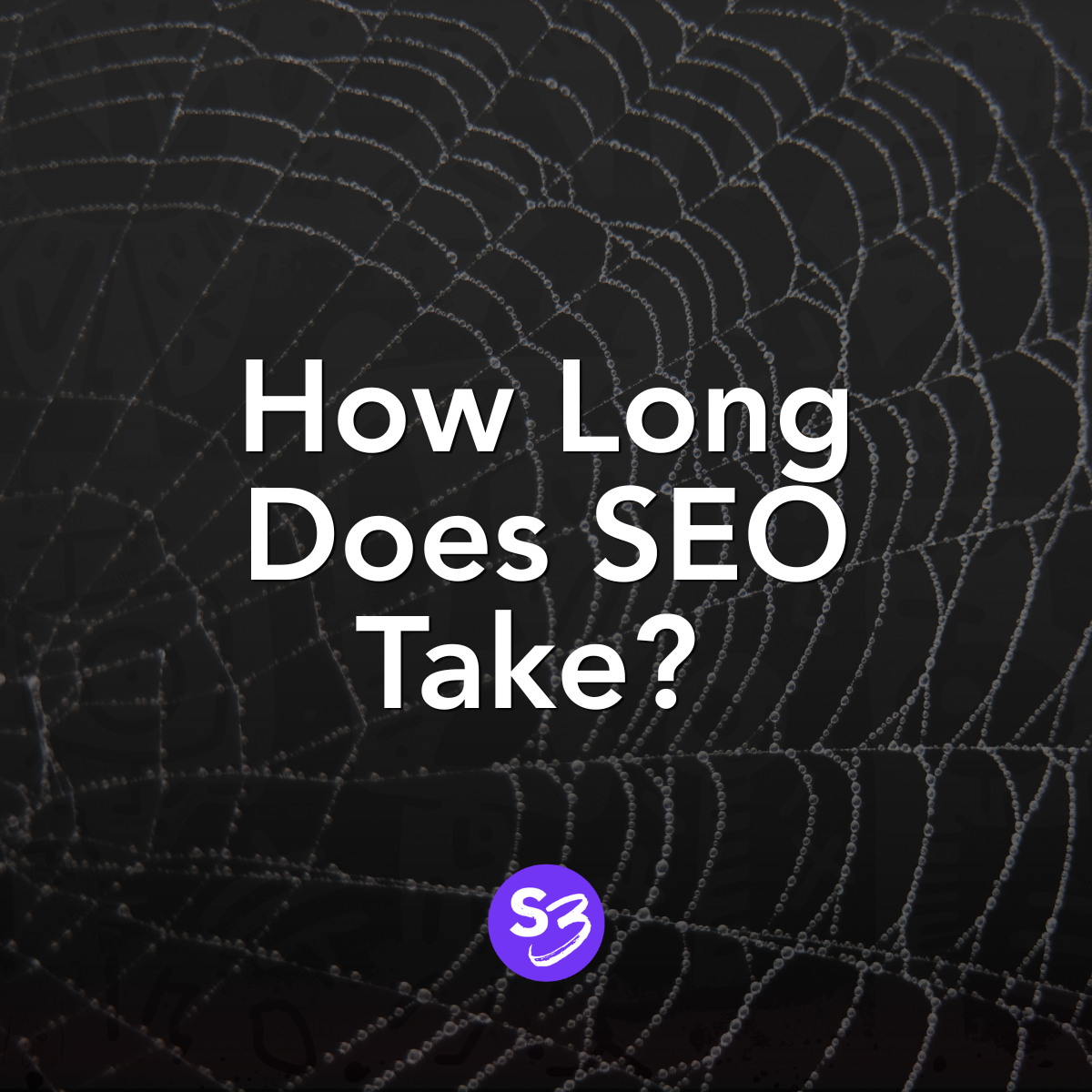 How Long Does SEO Take? Why It Works Like a Spider Web, Not a Light Switch