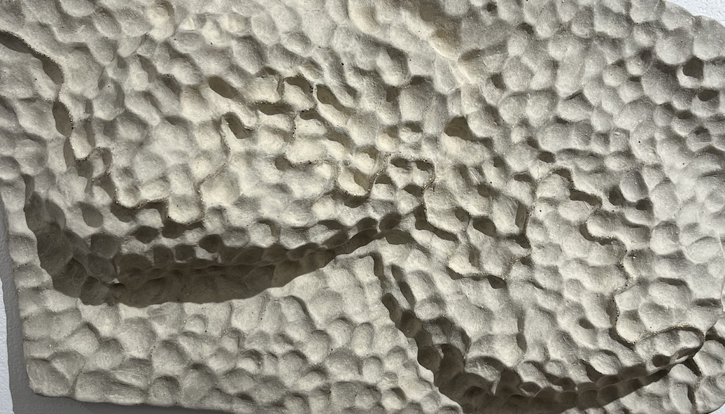 Screen Shot 2026-01-20 at 2.07.37 pm.png