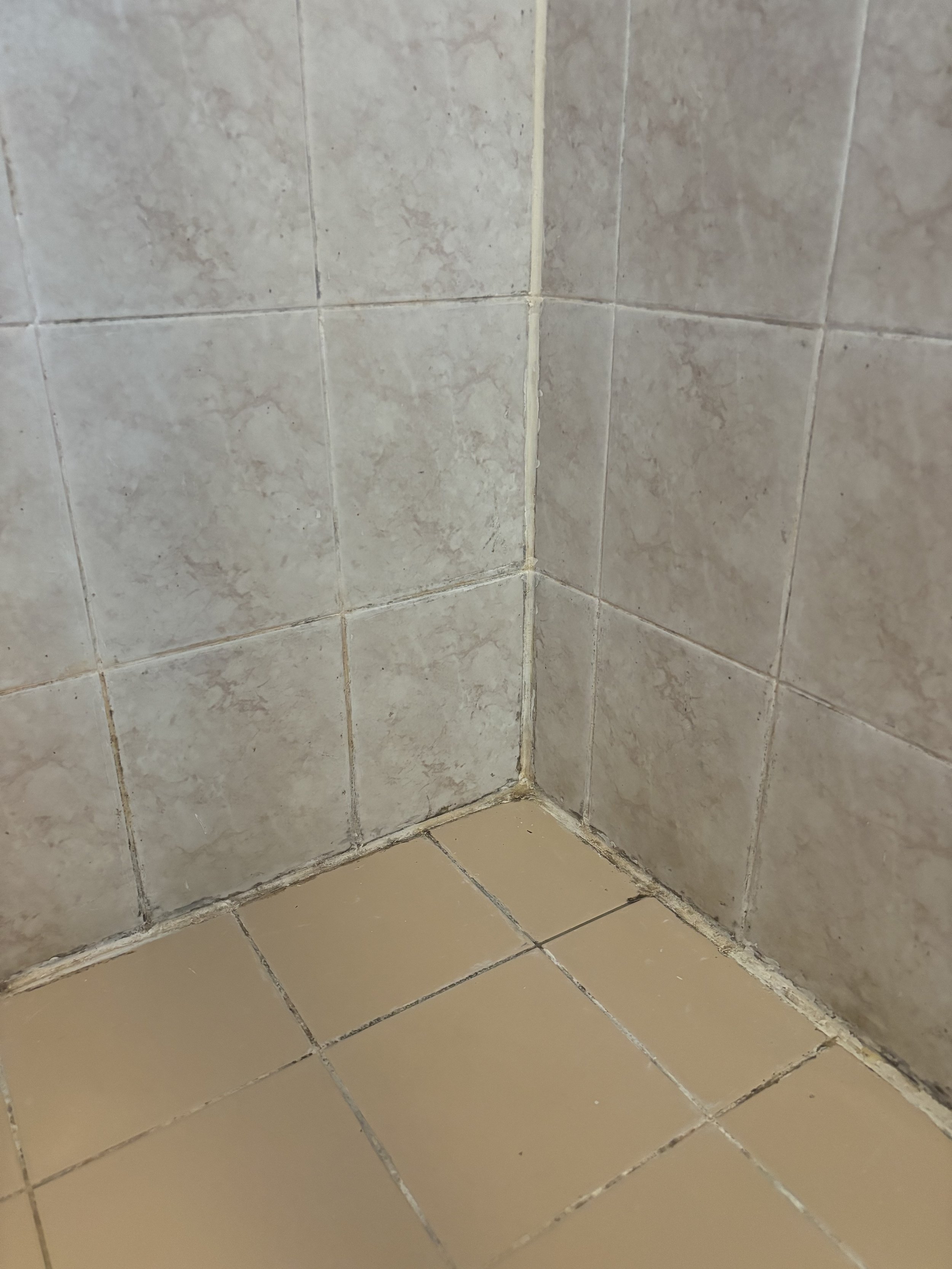 Shower Re-Grout Before