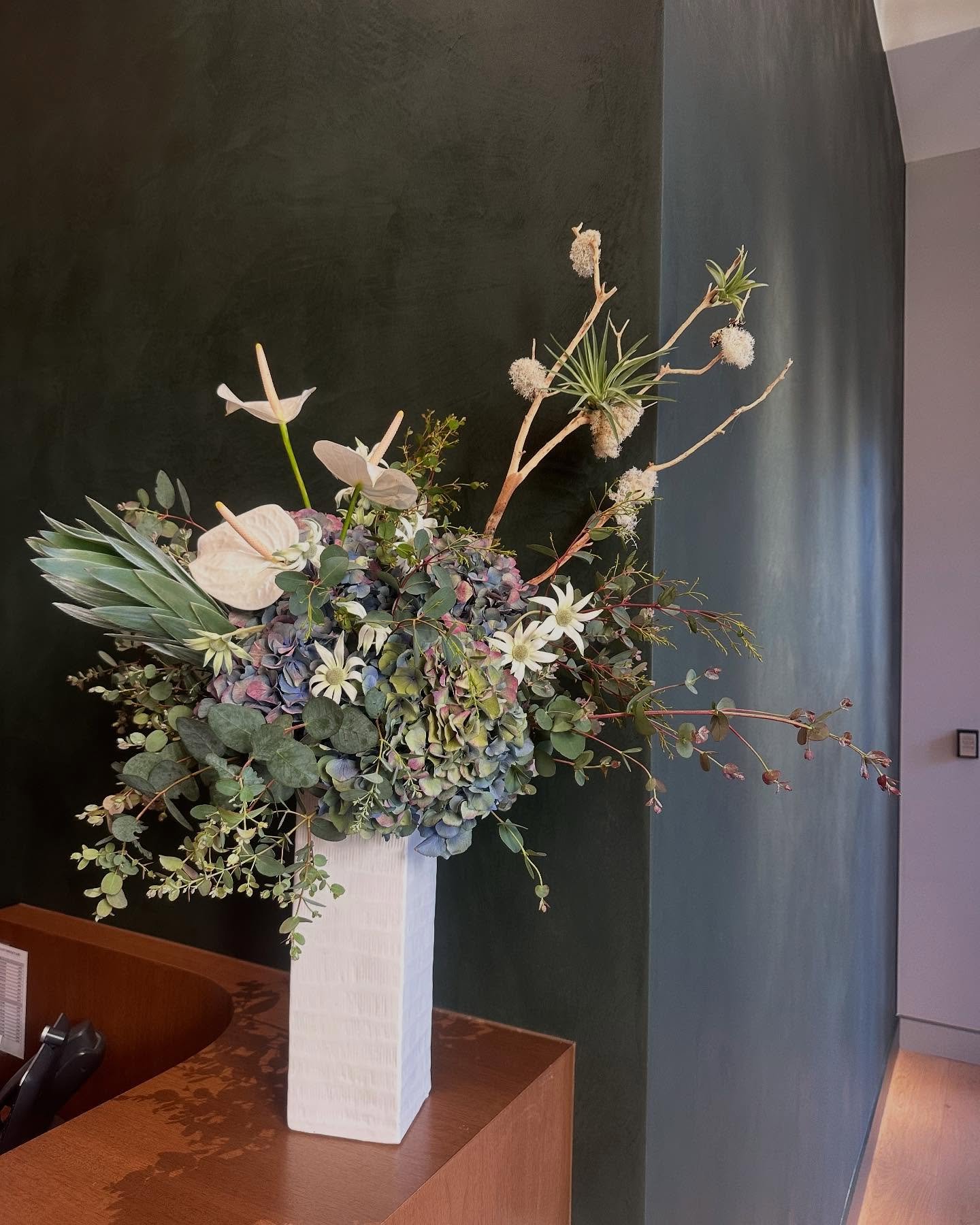 I found these hydrangeas and absolutely feel in love, they are so dreamy 💭