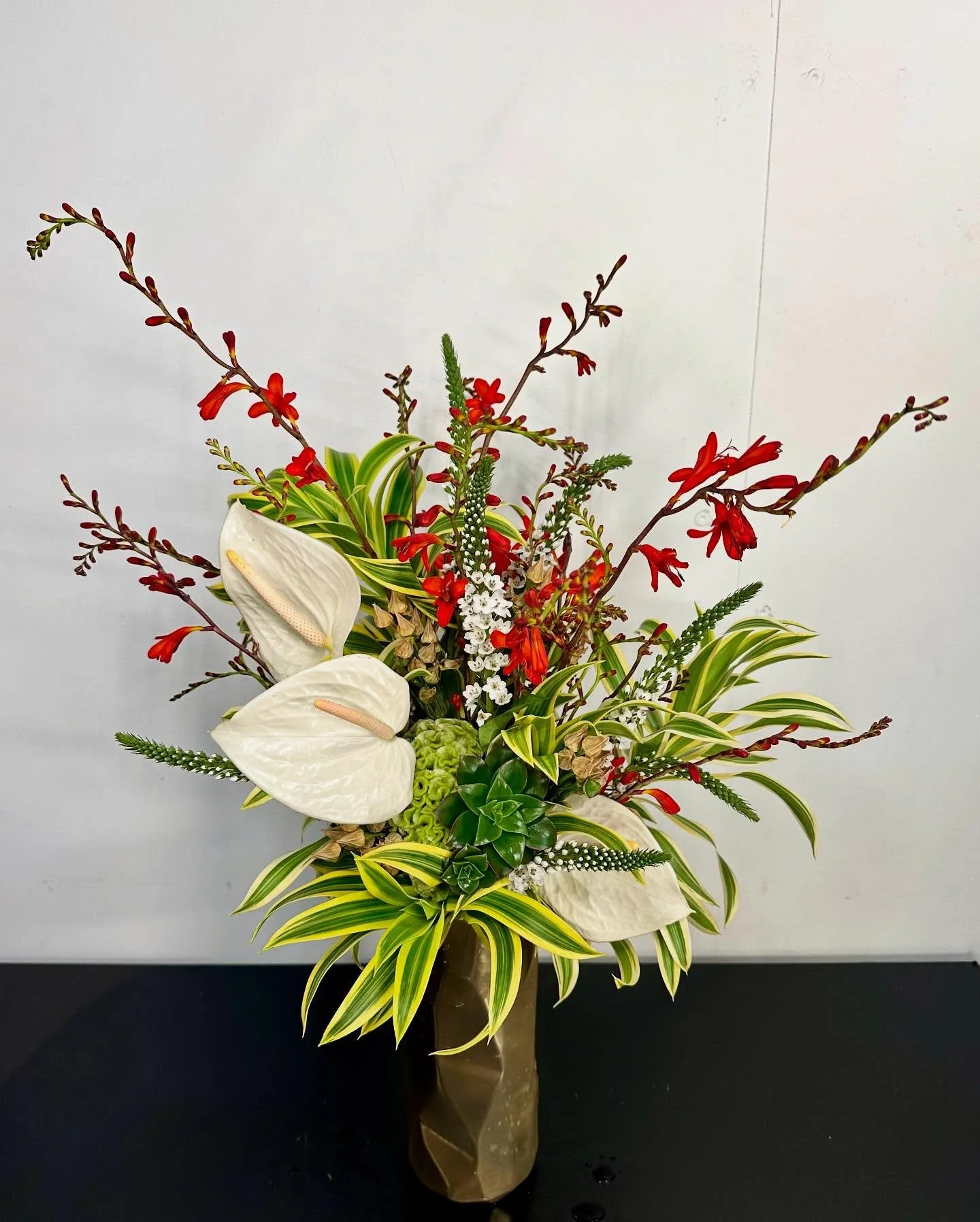 Succulents in unexpected places