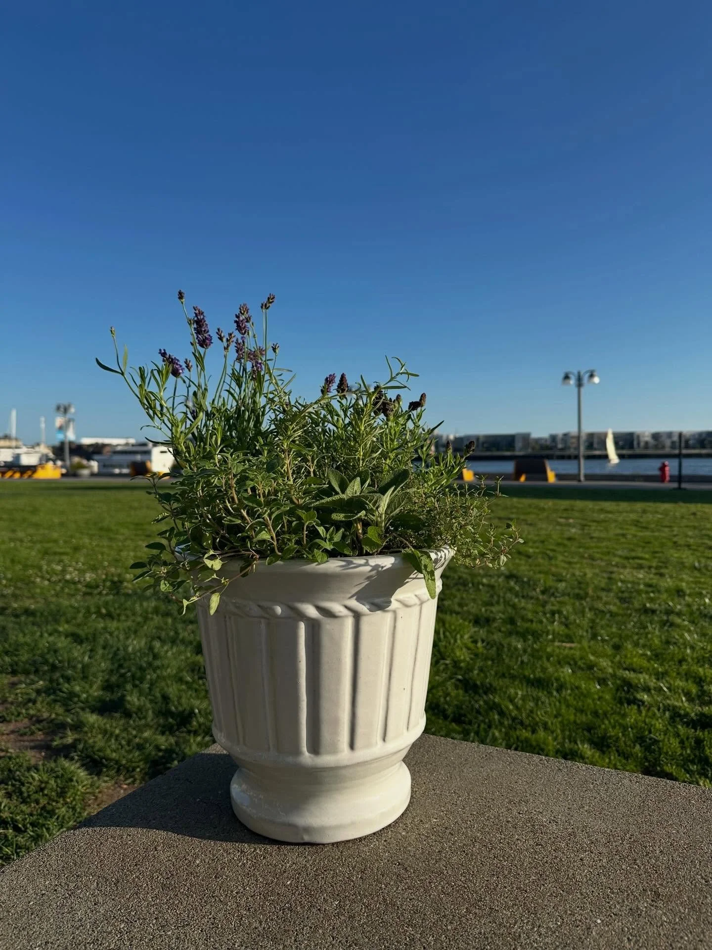 Herb gardens now available for purchase

Custom assortment of herbs in a container of your choice. Delivery available.