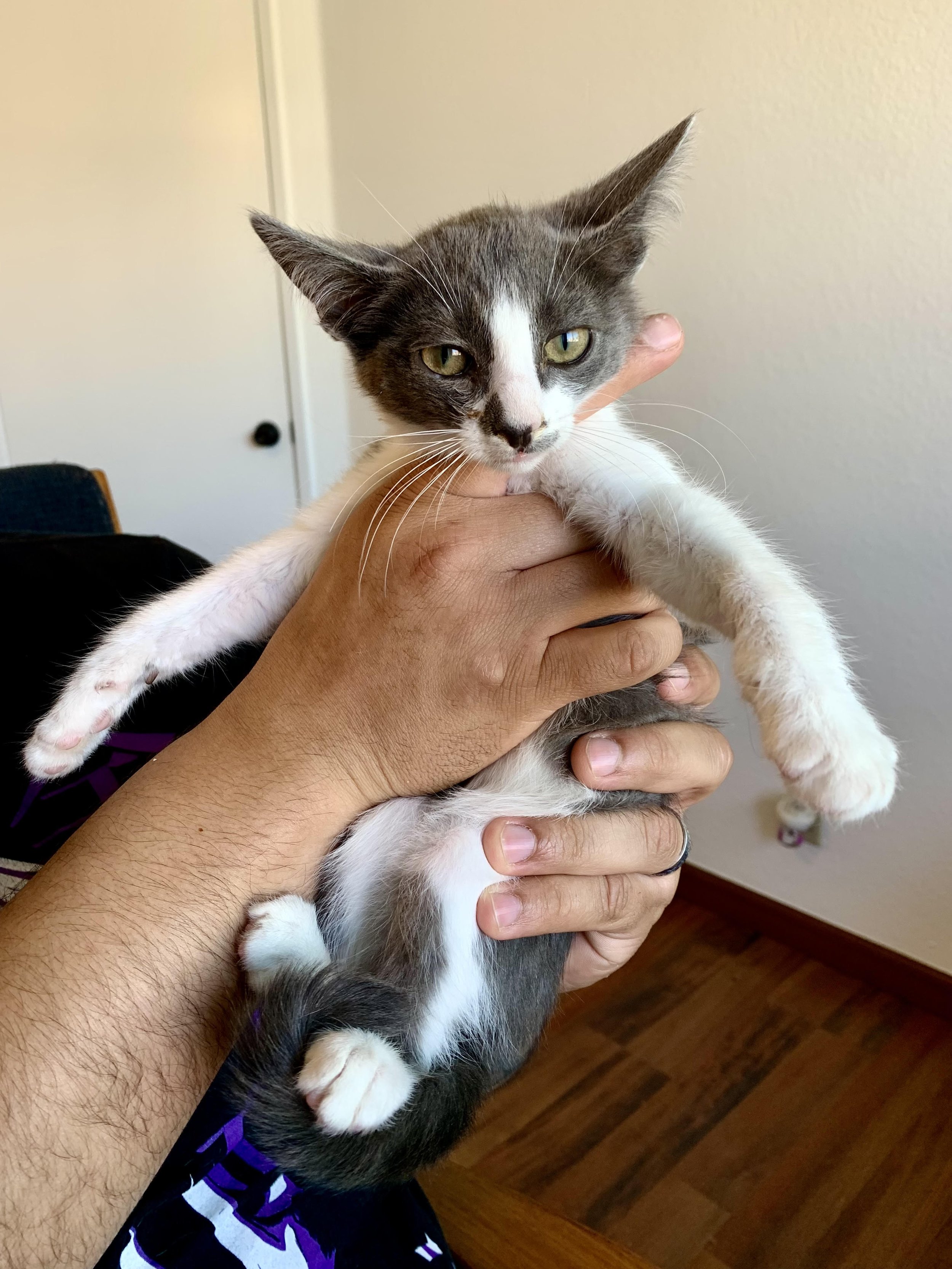 Mini Mama - Second Photo.jpg