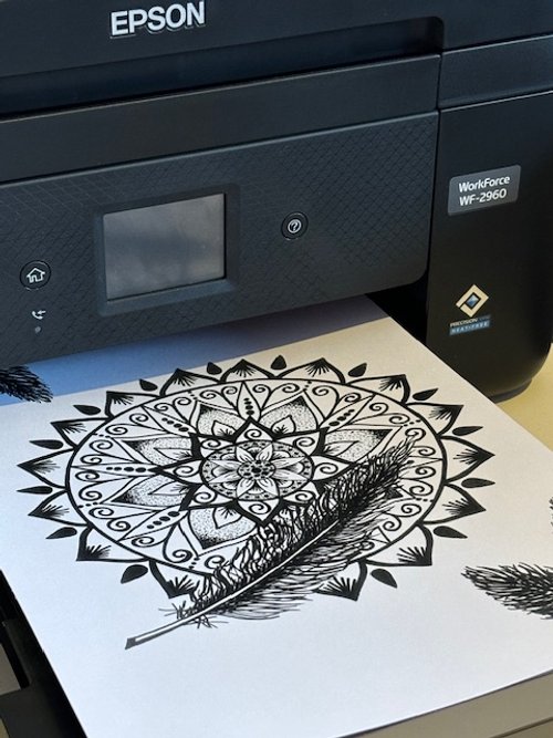 printer copy feather.jpg