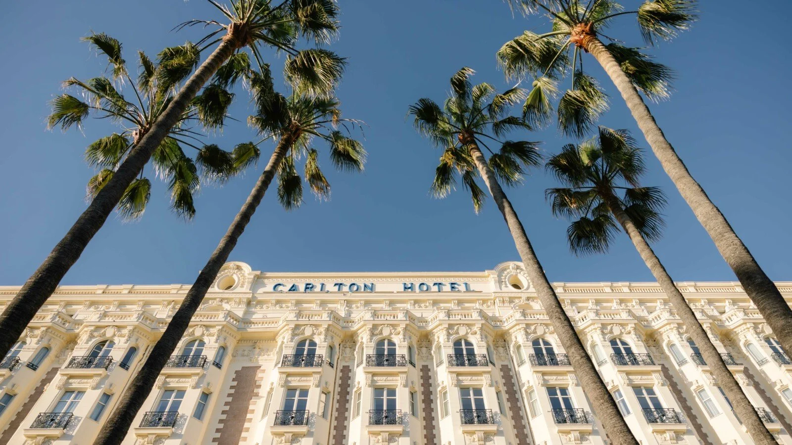 carltoncannes-tobelived-byromainreglade-9-1600x900.jpg